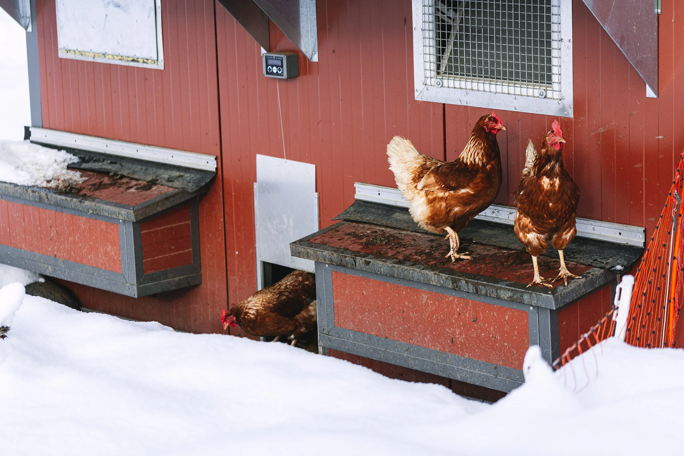 FRAUKAUFMANN_WINTERMOOD-31.jpg
