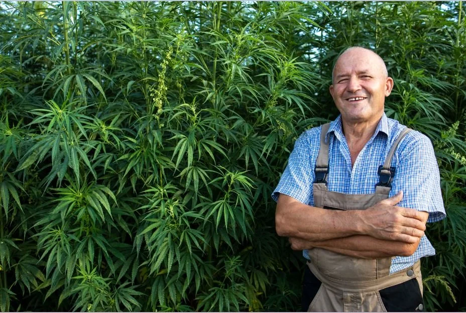 Where to Conveniently Purchase Recreational Marijuana Online in San Diego?