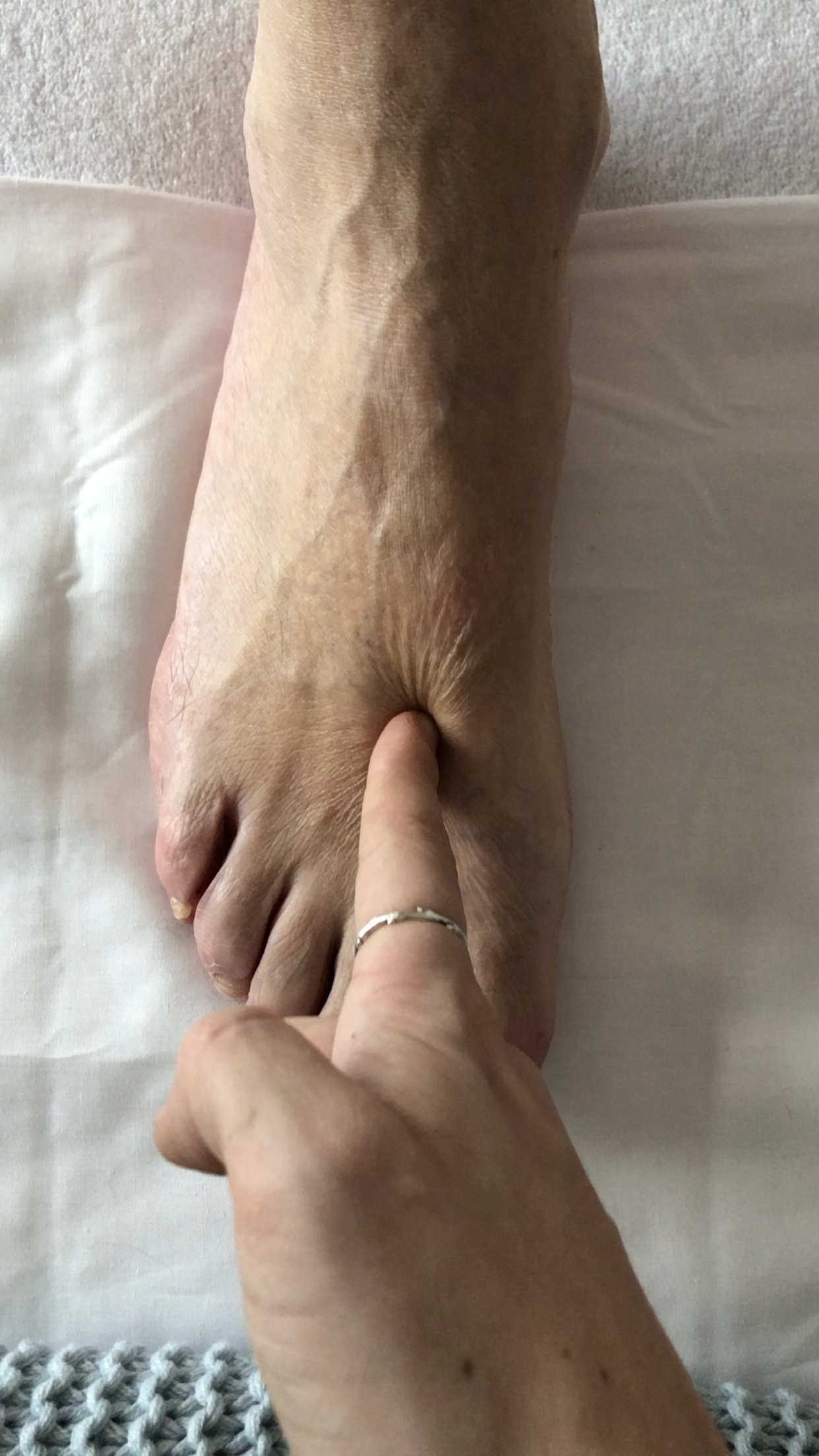 Acupuncture Dragonfly Place