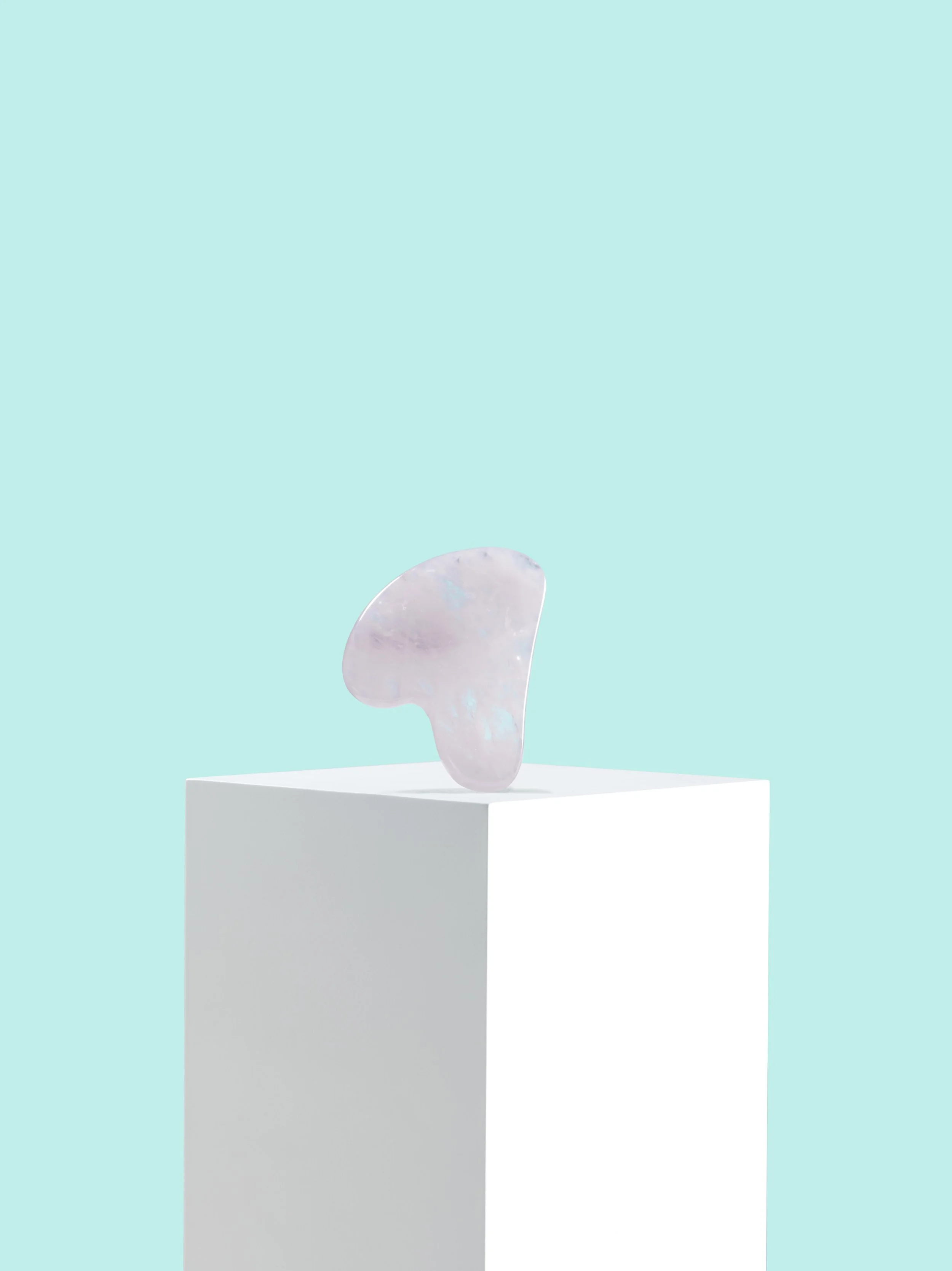 RFee_Alice_Acupuncture_Guasha_Simple.jpg