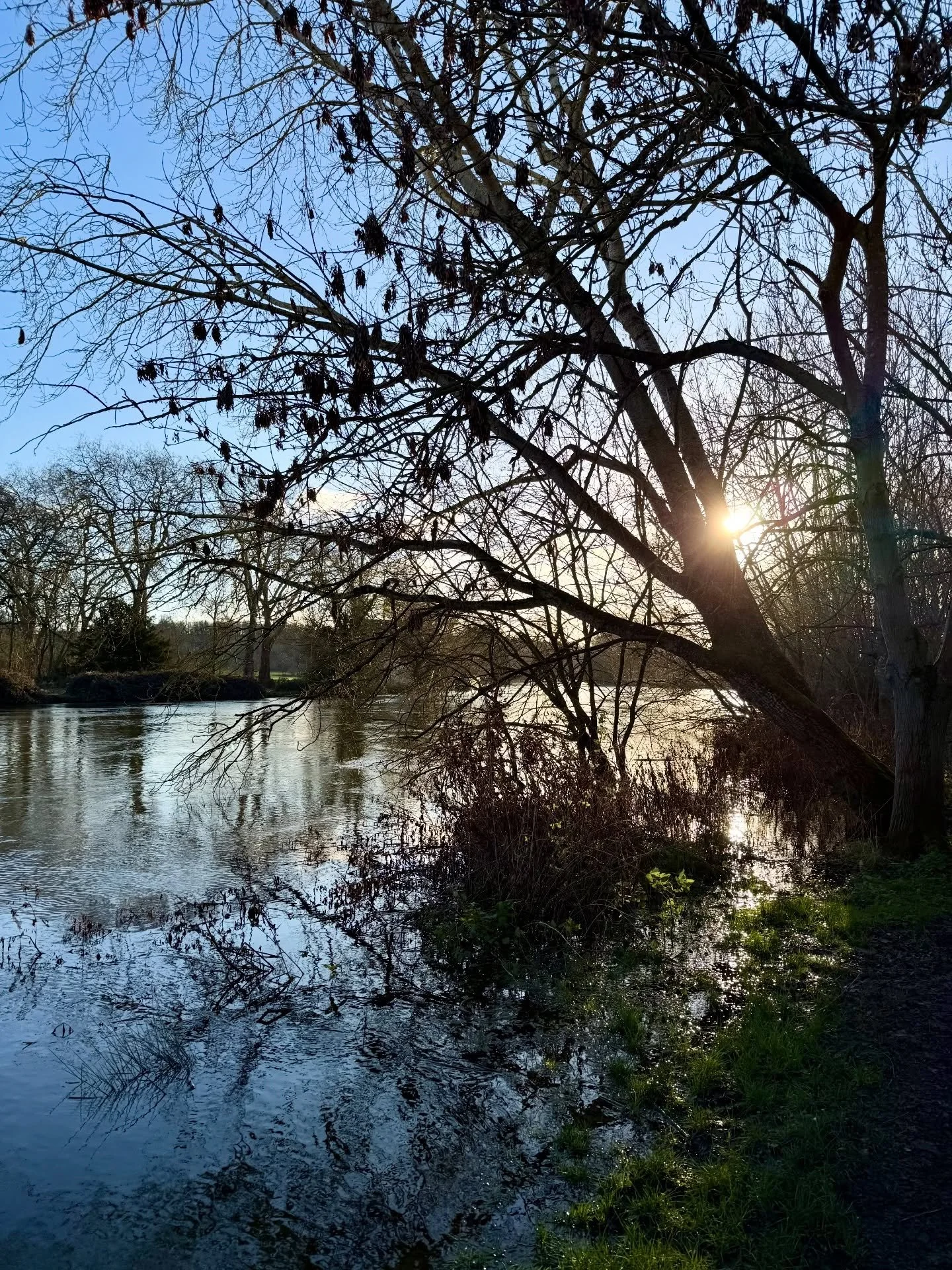 No Winter lasts forever; no Spring skips its turn. December is a month of hope.

Let&rsquo;s notice the quiet stillness of winter and the promise hidden inside it. The darkness isn&rsquo;t something to fear; it&rsquo;s a place of rest, reflection, an