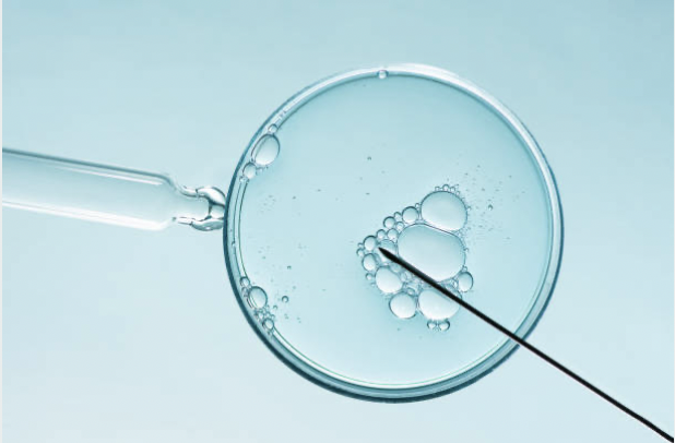 Fertility Care in the UK
