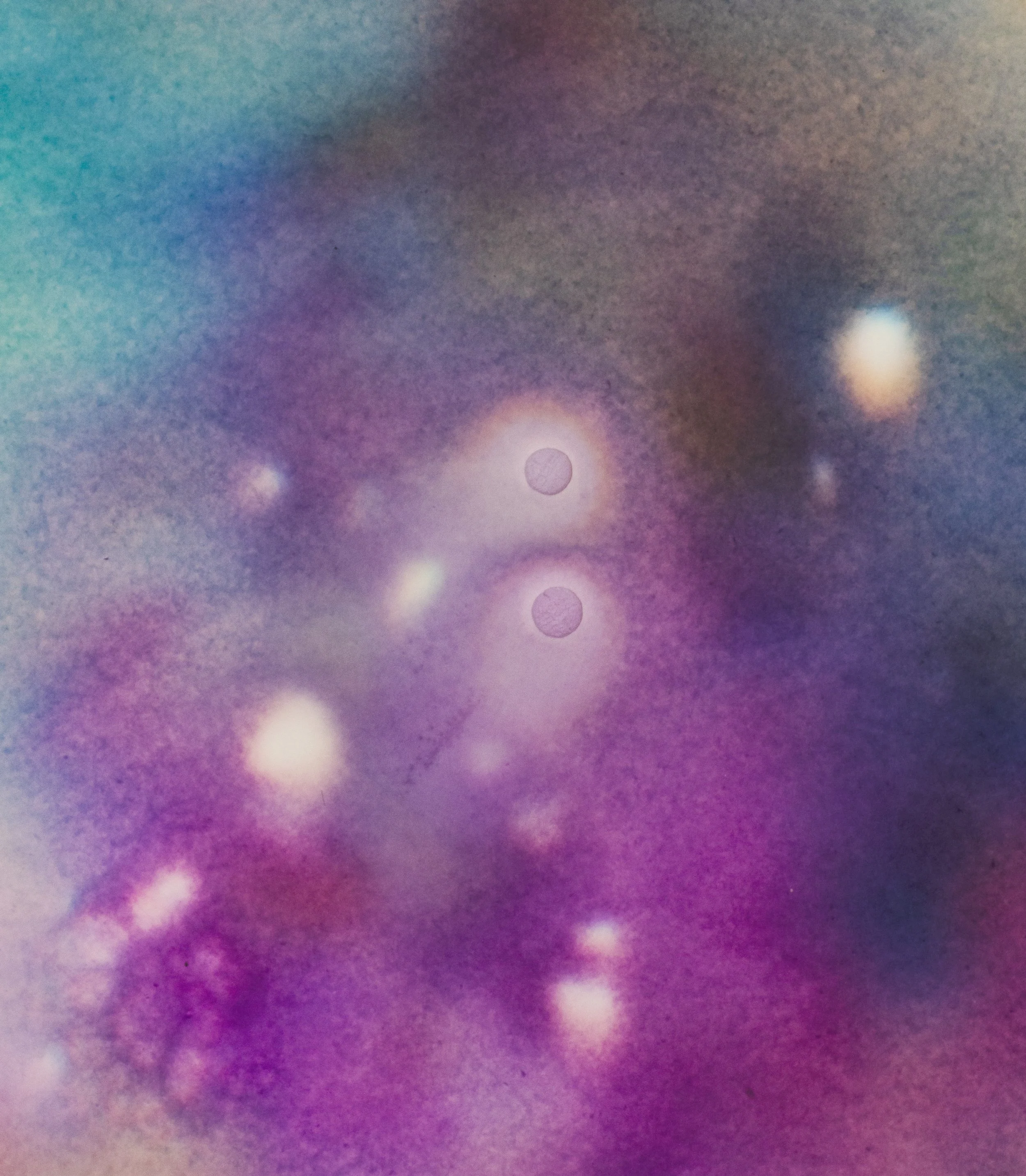 Detail, March (9 to 5), ink on chromatography paper soaked in Tylenol and Marijuana solution, 40 x 32 inches