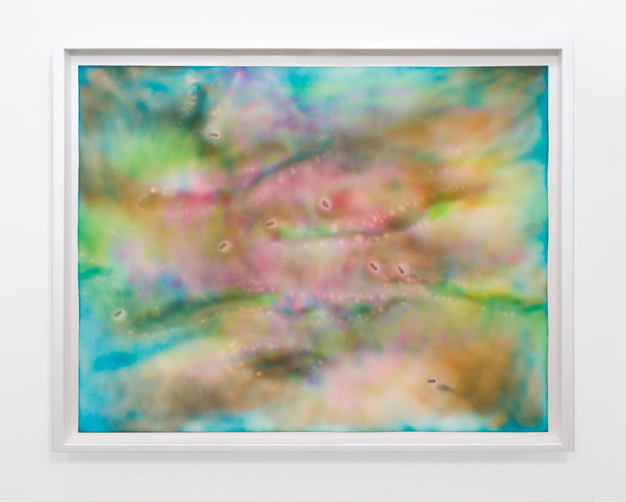  Installation View, Ben Weiner: Mood Drawings, Mark Moore Fine Art 