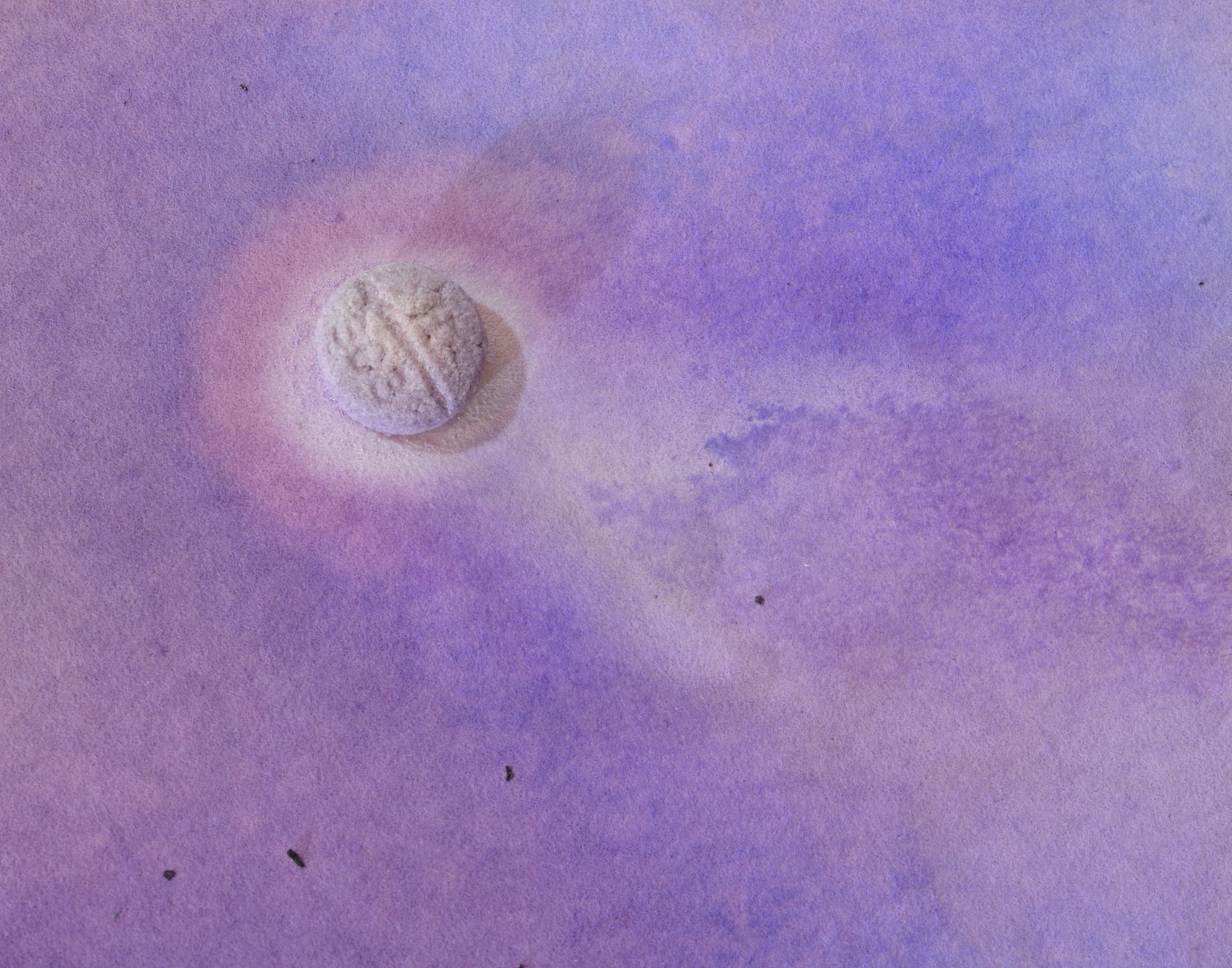  Detail, Groundhog Day, ink on chromatography paper soaked in Codeine solution, 40 x 32 inches 