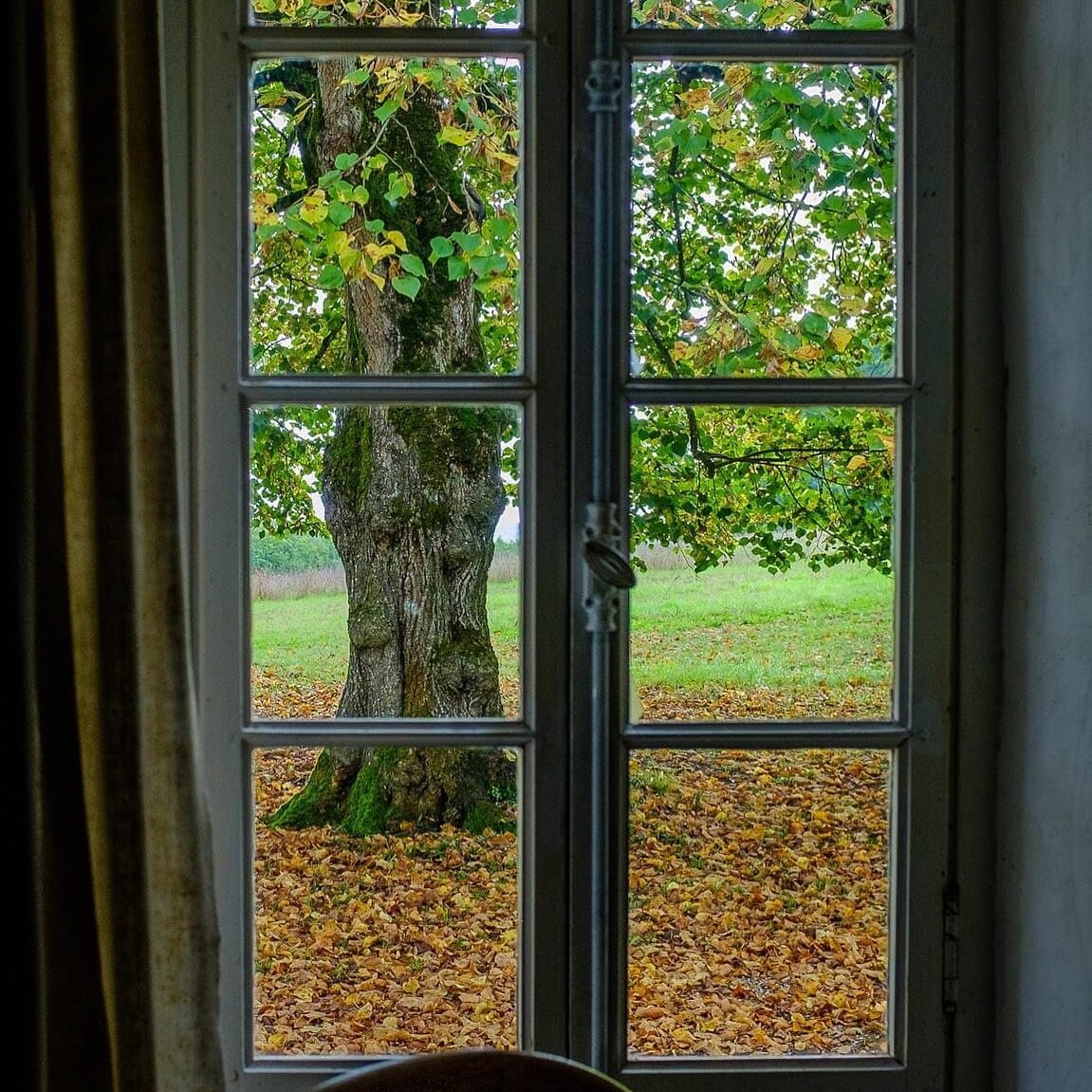 Autumn window