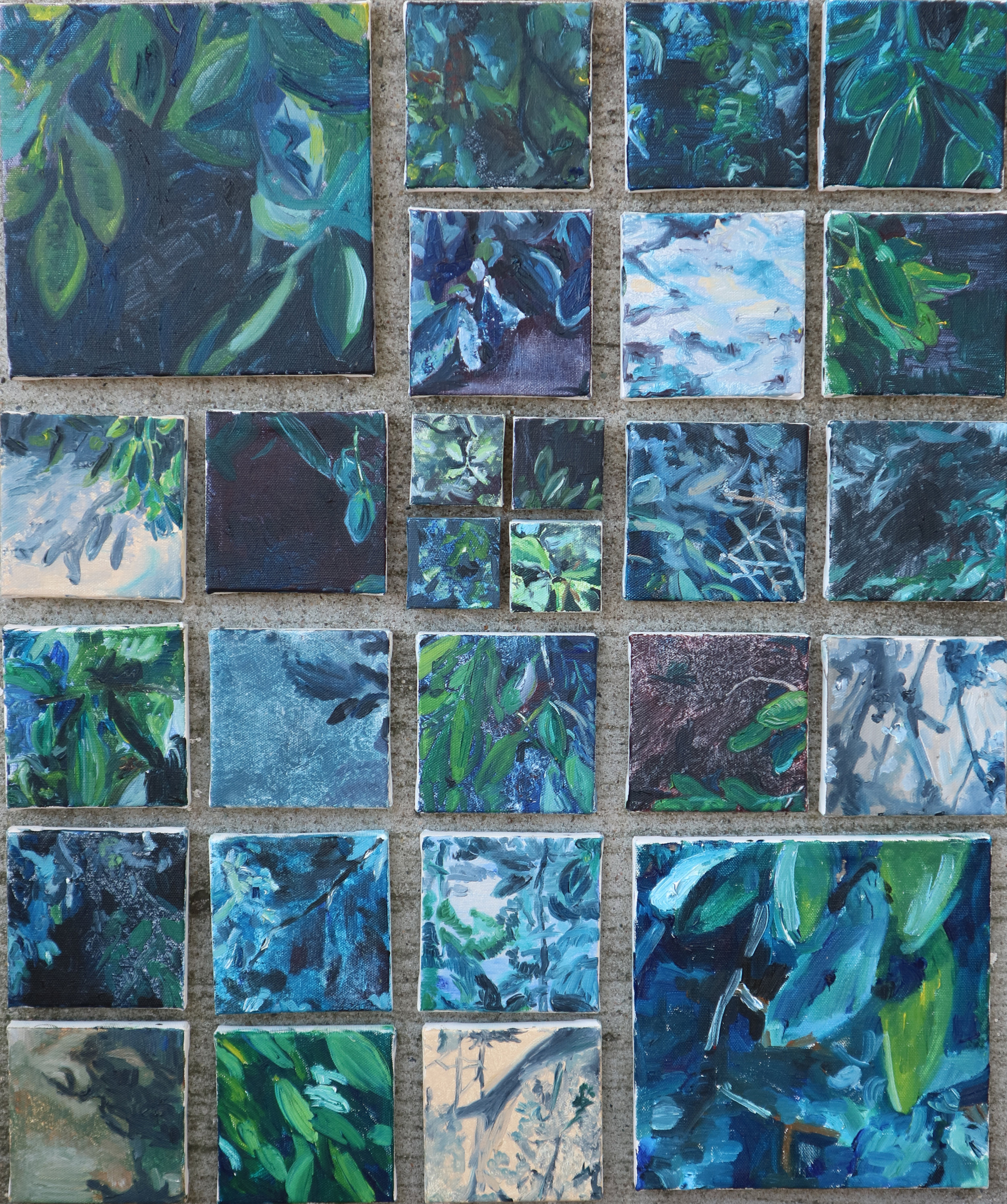Study of Shadows