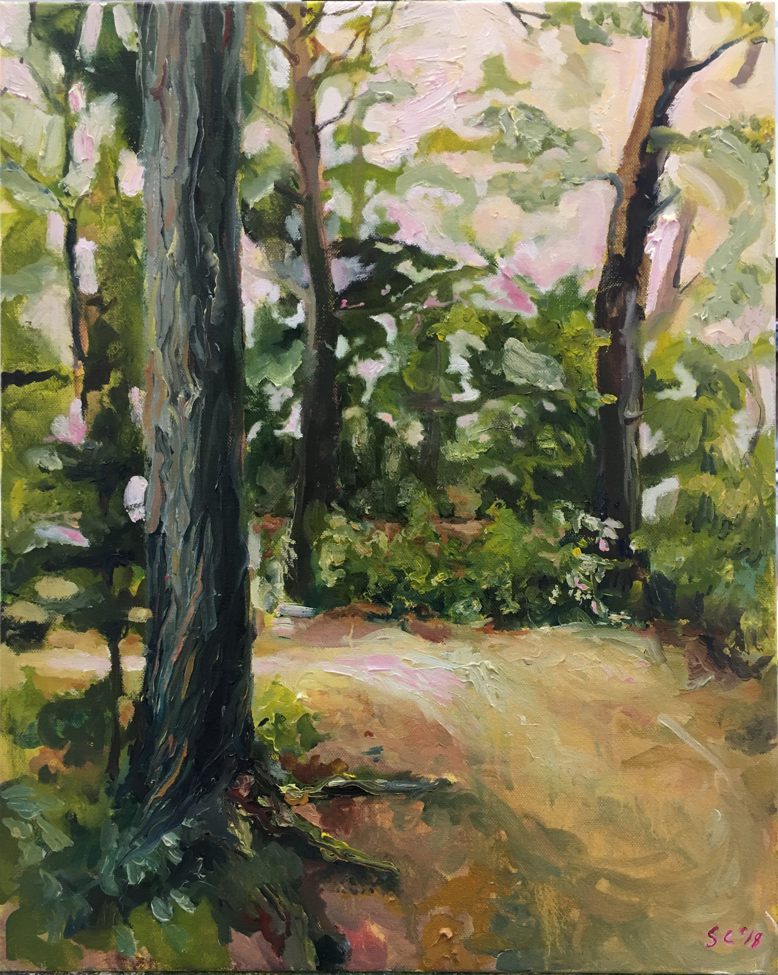 Observation into the woods