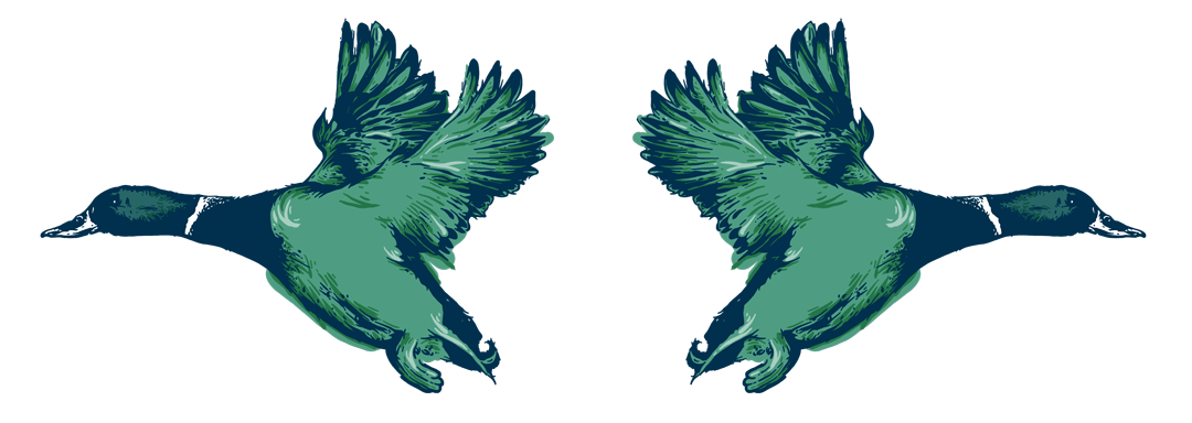 CFTR_PosterART_Layered-ducks.png