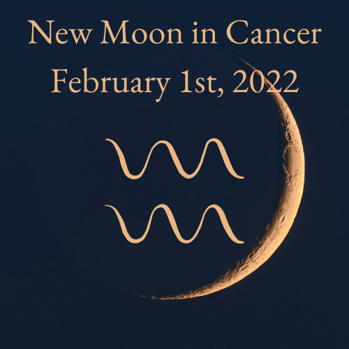 New Moon in Aquarius - Elevate the Tribe