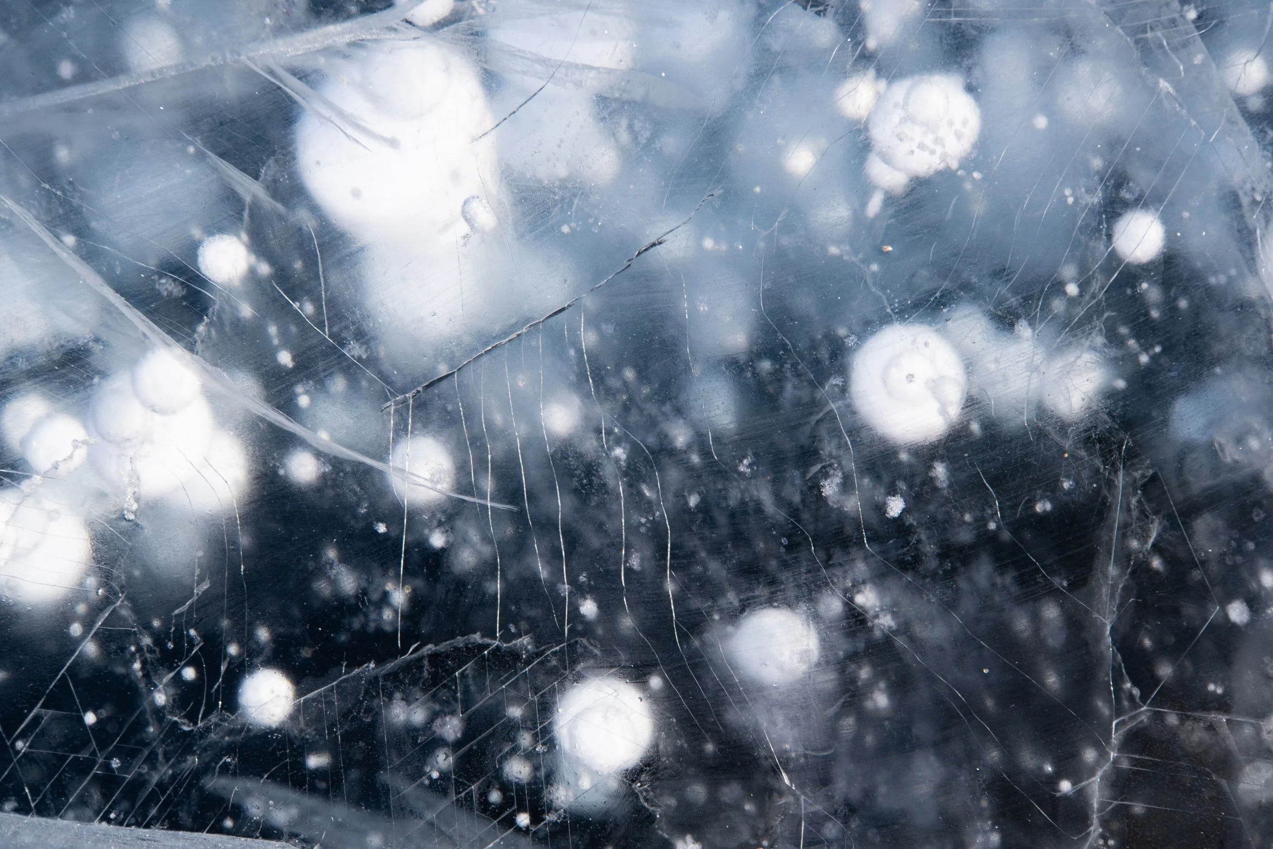 Discursive Establishment - June 8th 2022