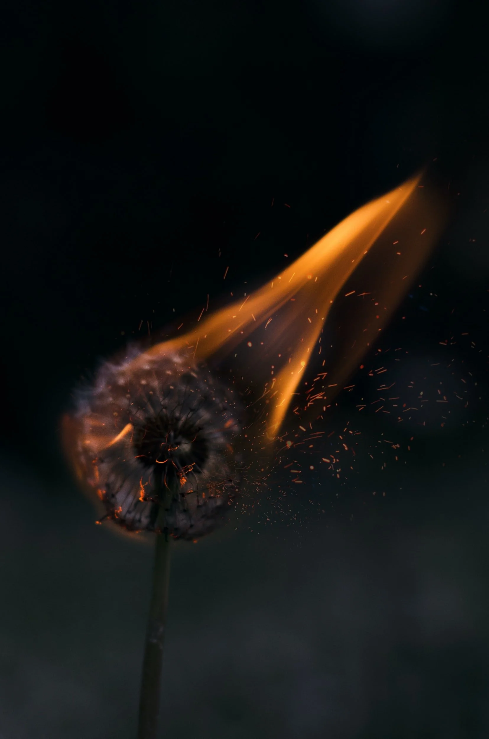 Ego Immolation - Full Moon in Aries 2025