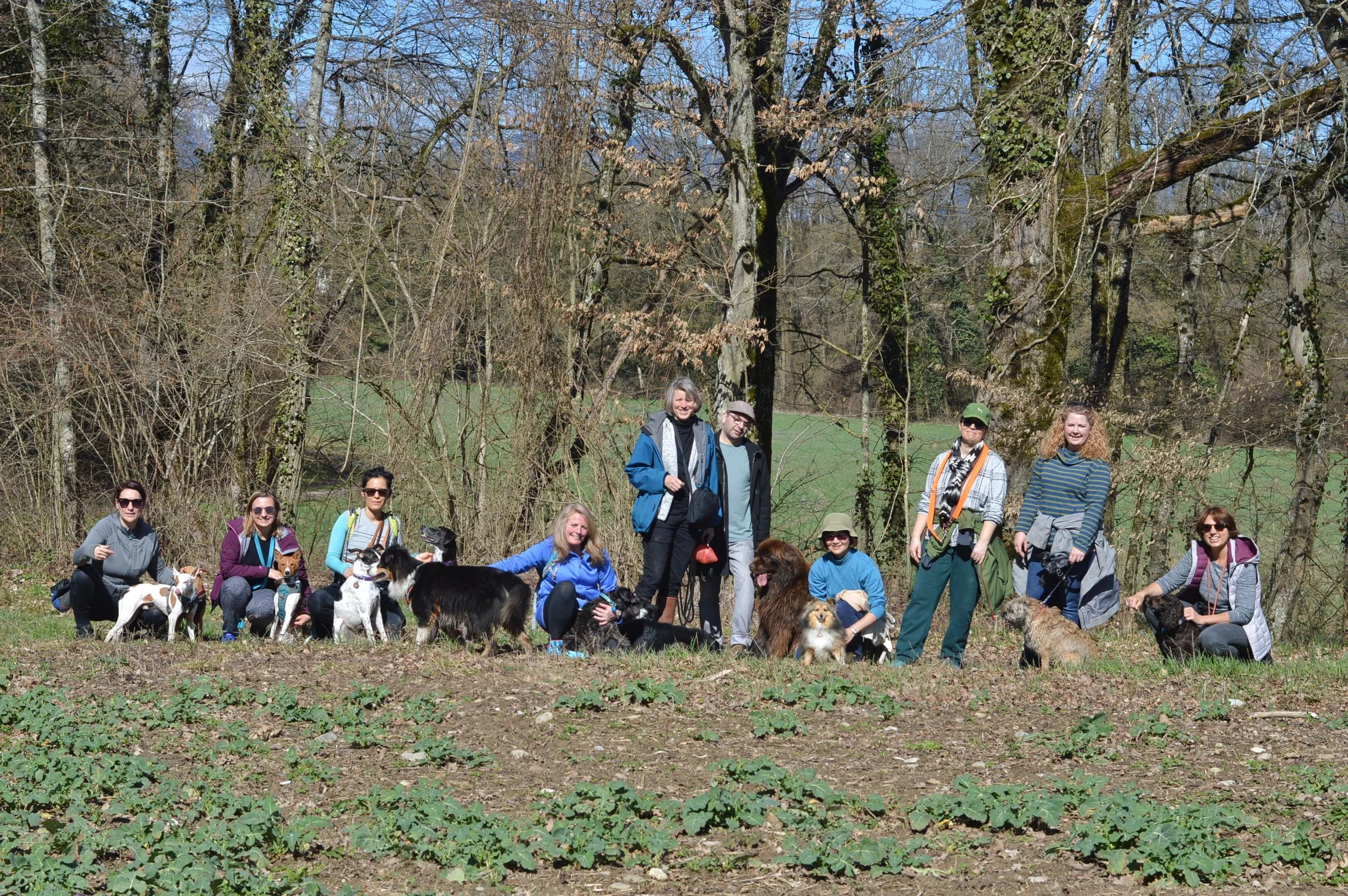 Geneva Hiking with Dogs - March Edition - Versoix 
