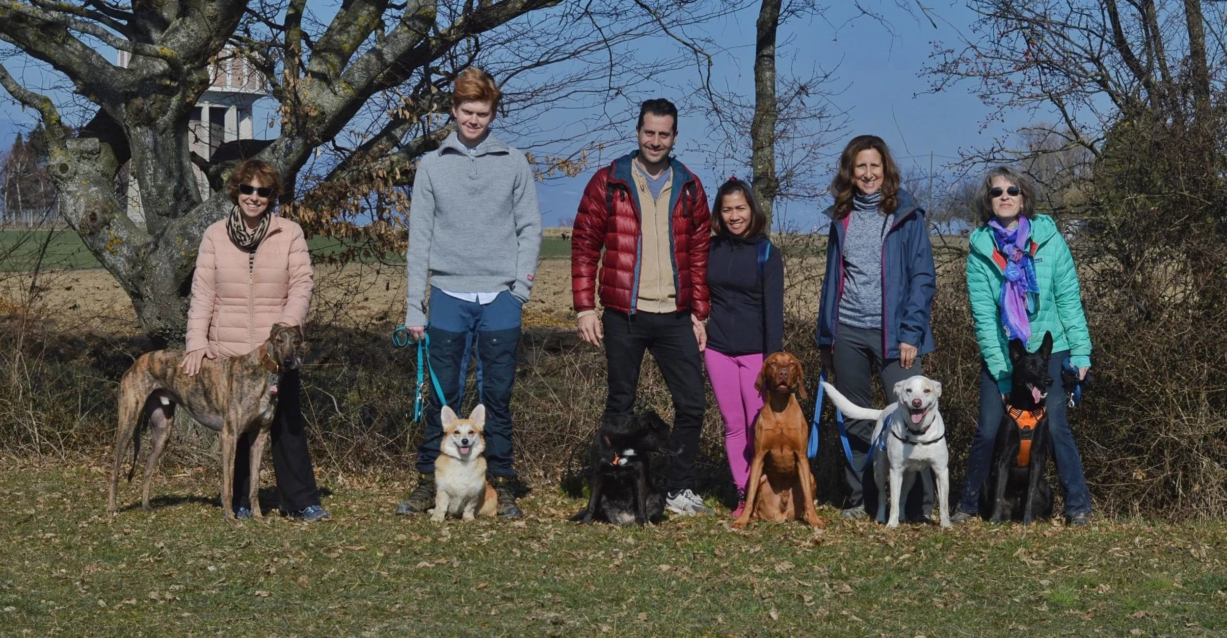 Geneva Hiking with Dogs - February Edition - Bois de Jussy