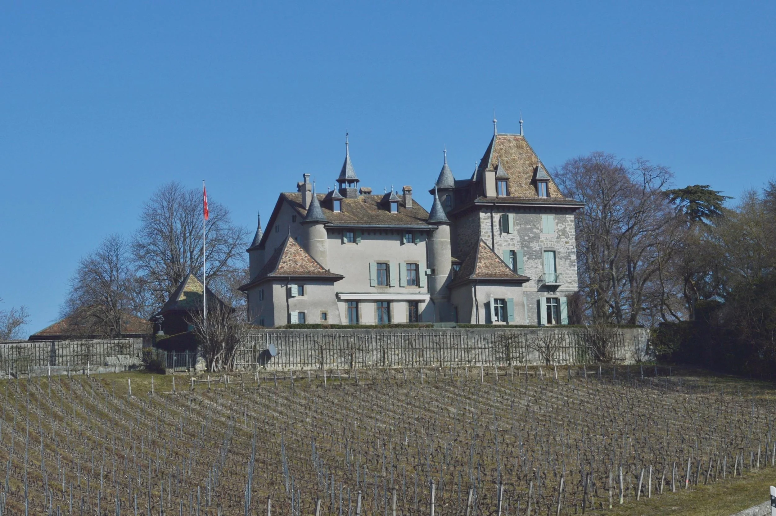 Caves Ouvertes- Domaine Chateau du Crest