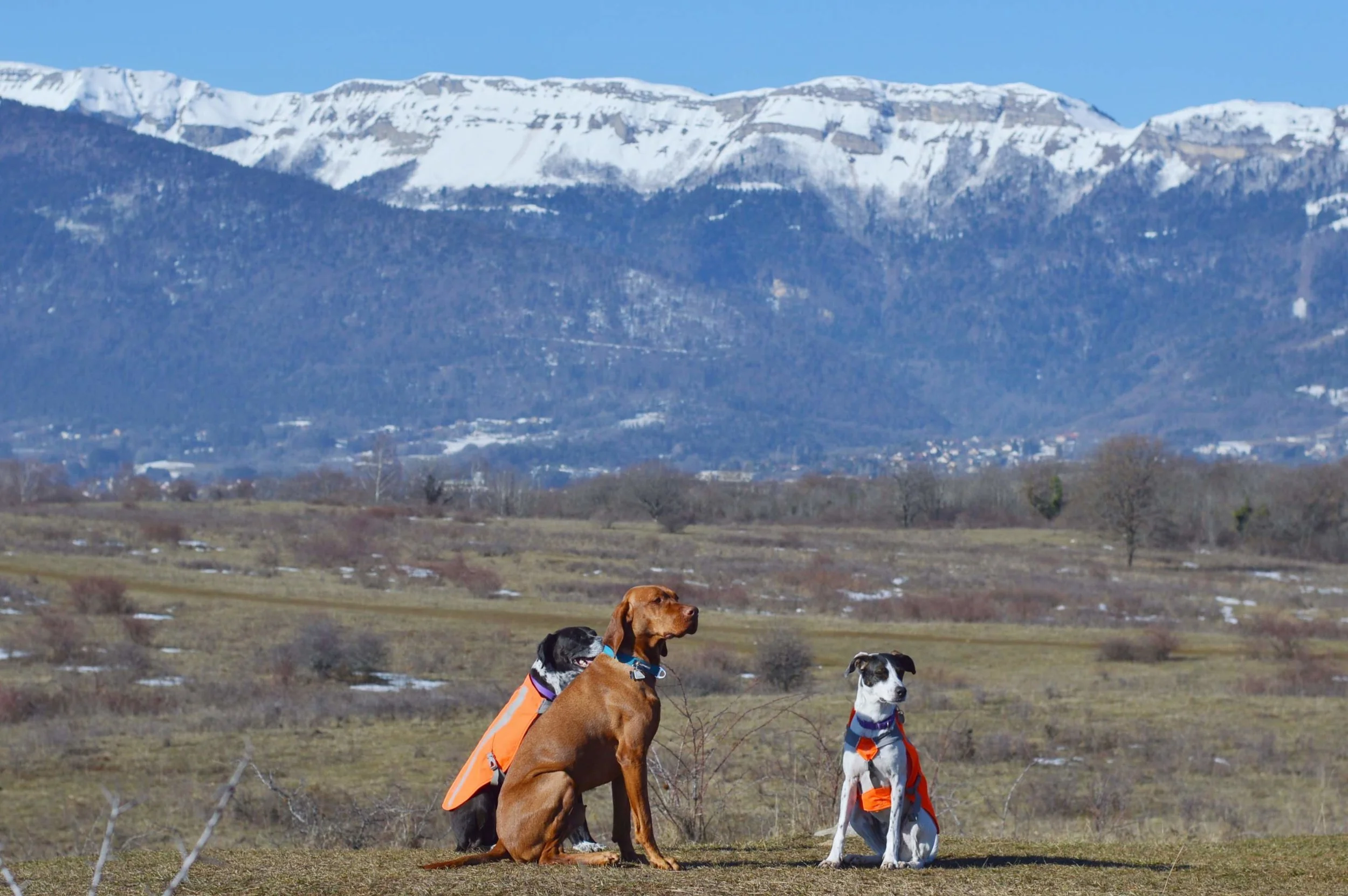 Nature Walk - Loop walk with a panoramic view on Mont Mourex