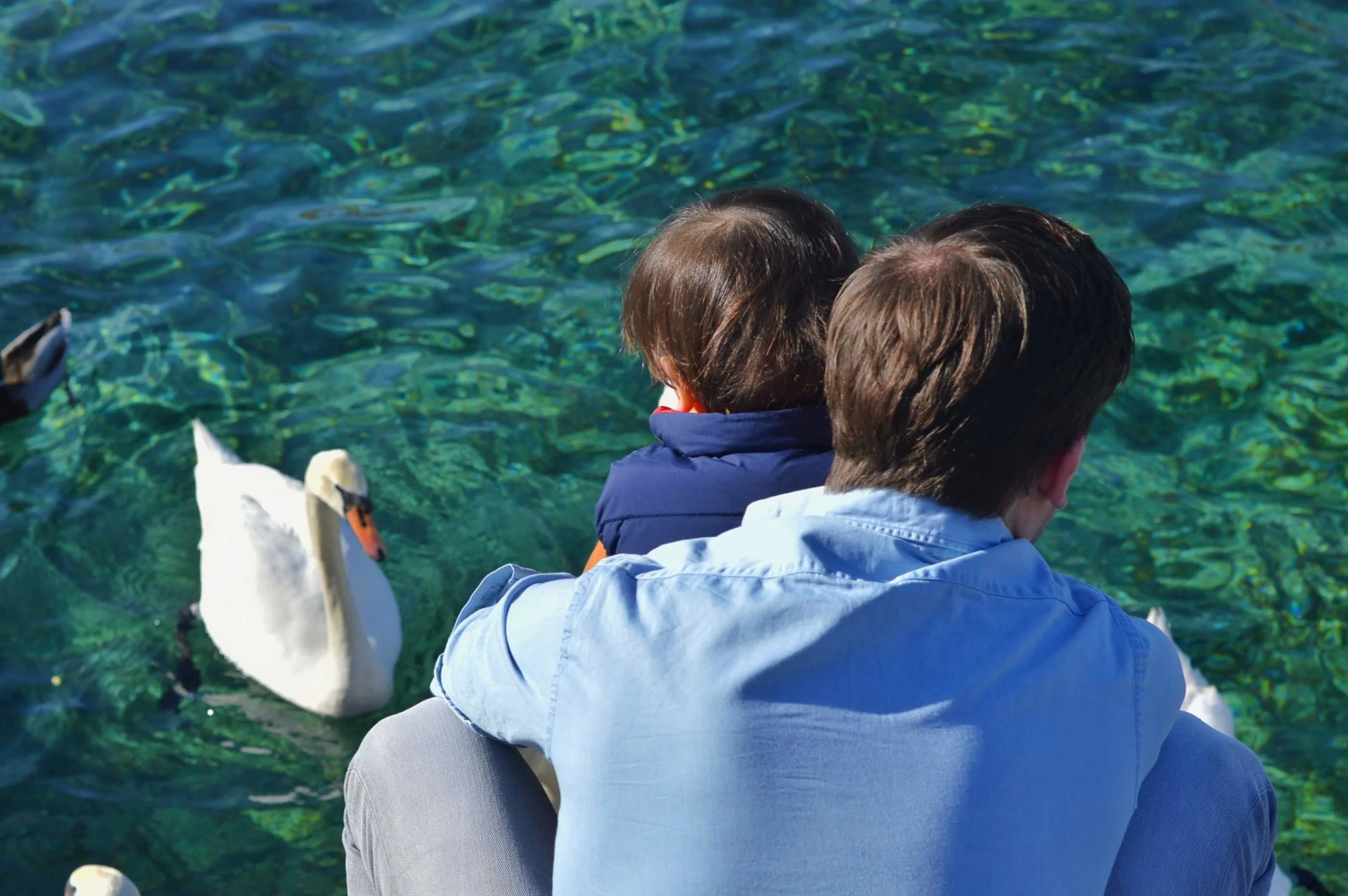 Geneva City Walks - Walk along the lakefront