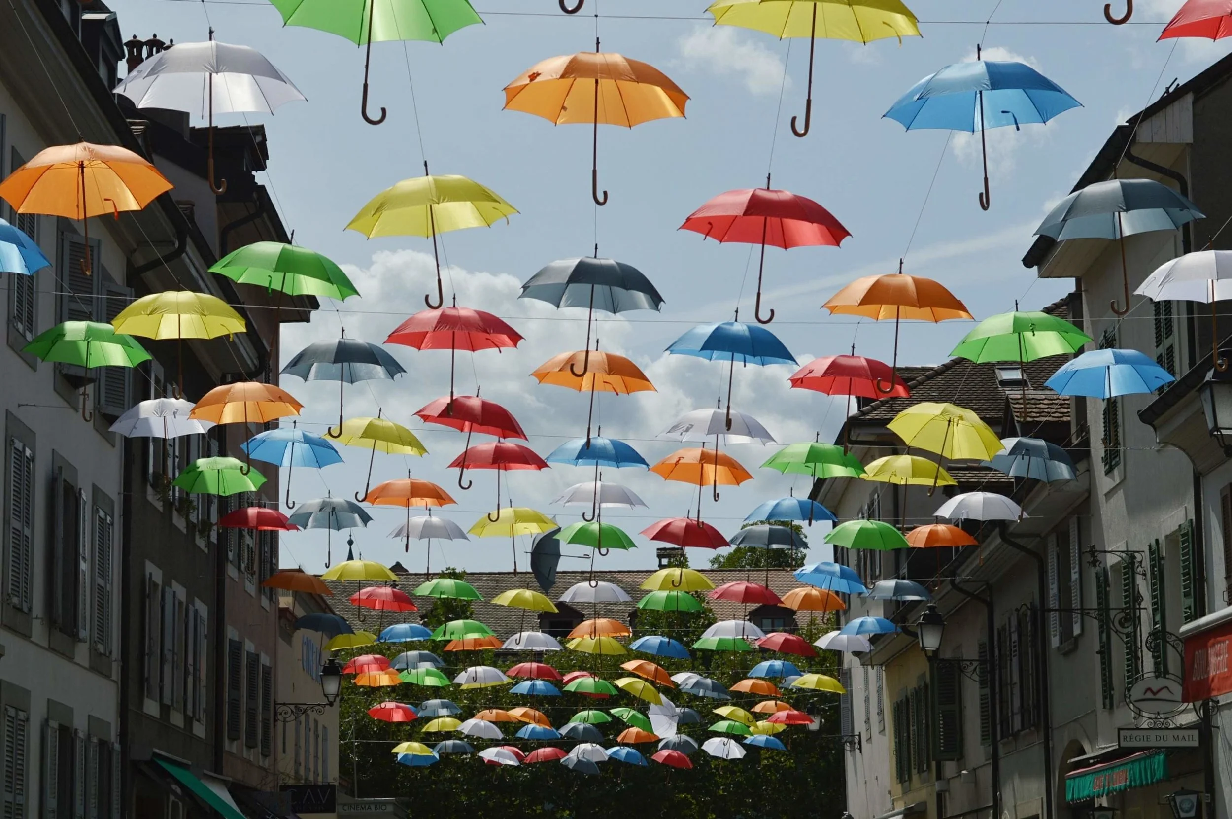 Child and Dog-Friendly Café - Wolfisberg, Carouge