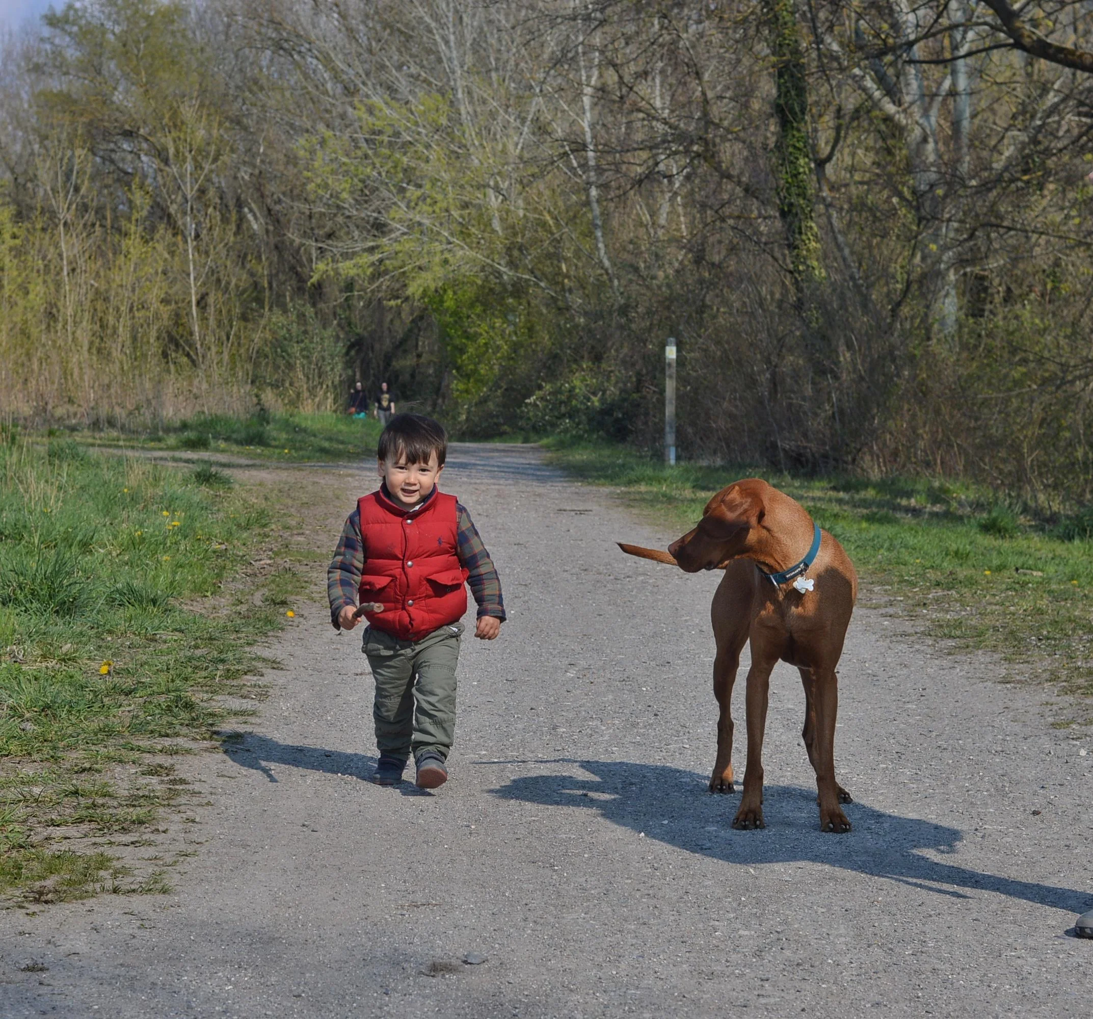 Riverside Walk along the Arve, Gaillard, France