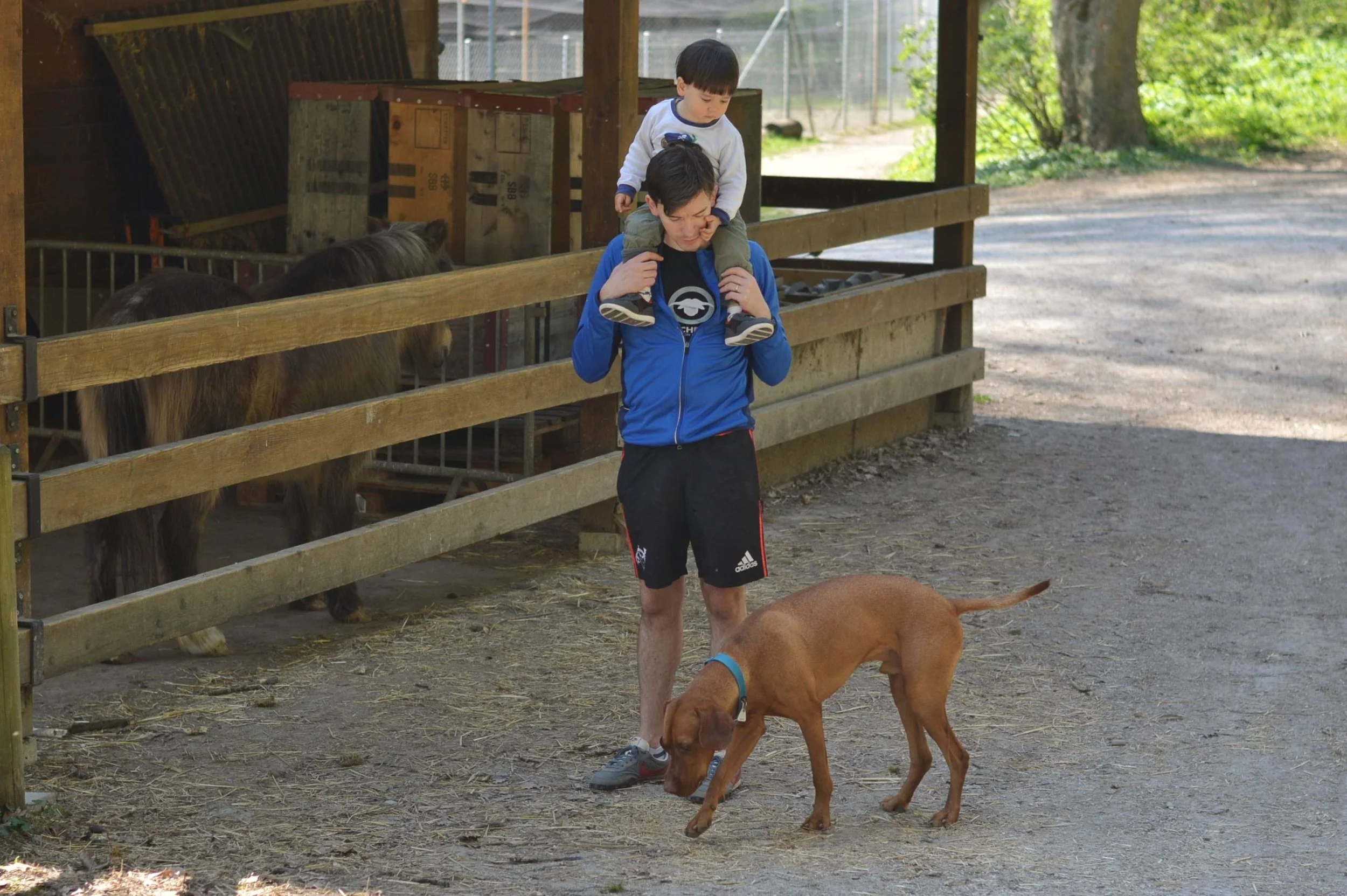 Geneva City Walks - Ferme de Val D'Arve