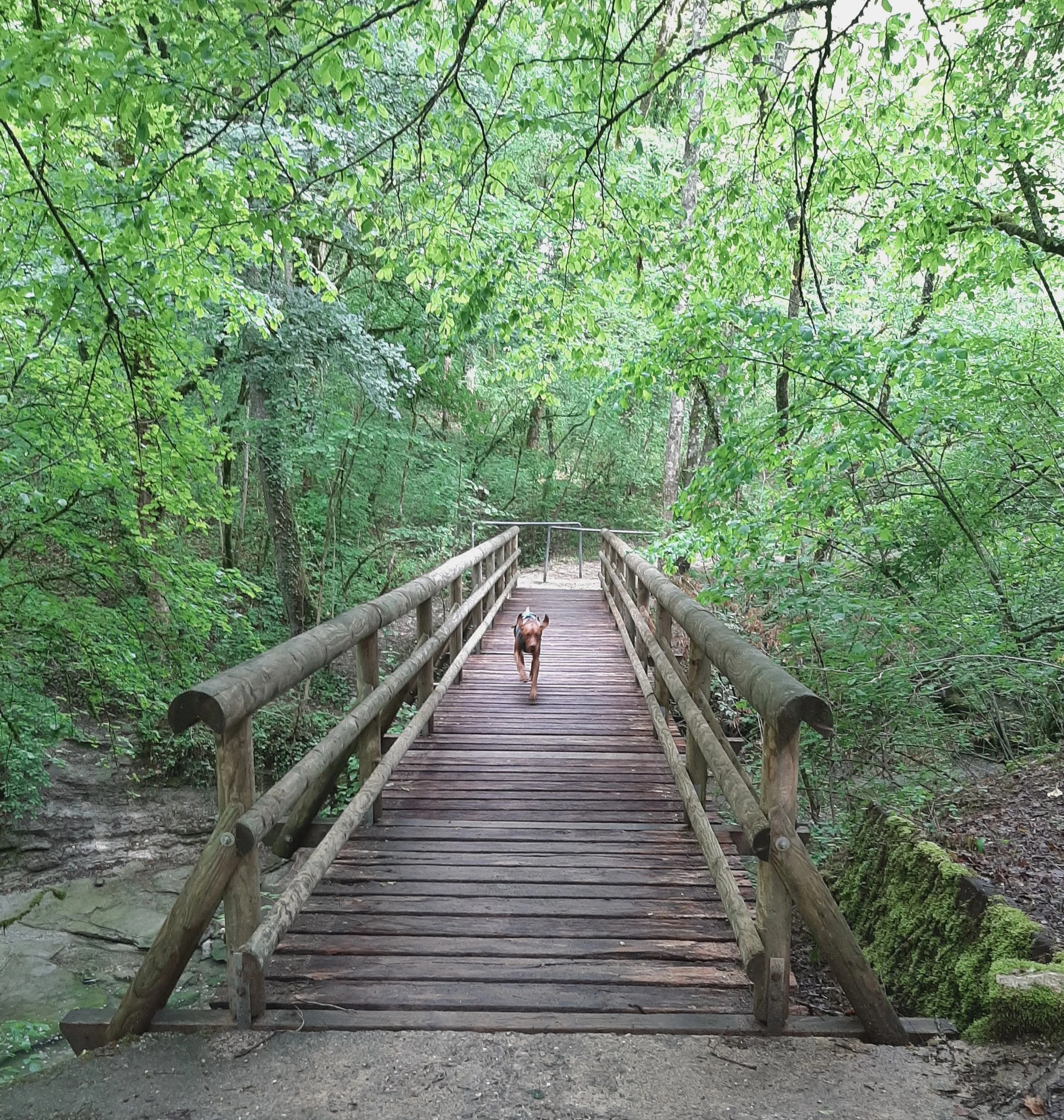 Geneva City Walks - Nant d'Avril, Satigny