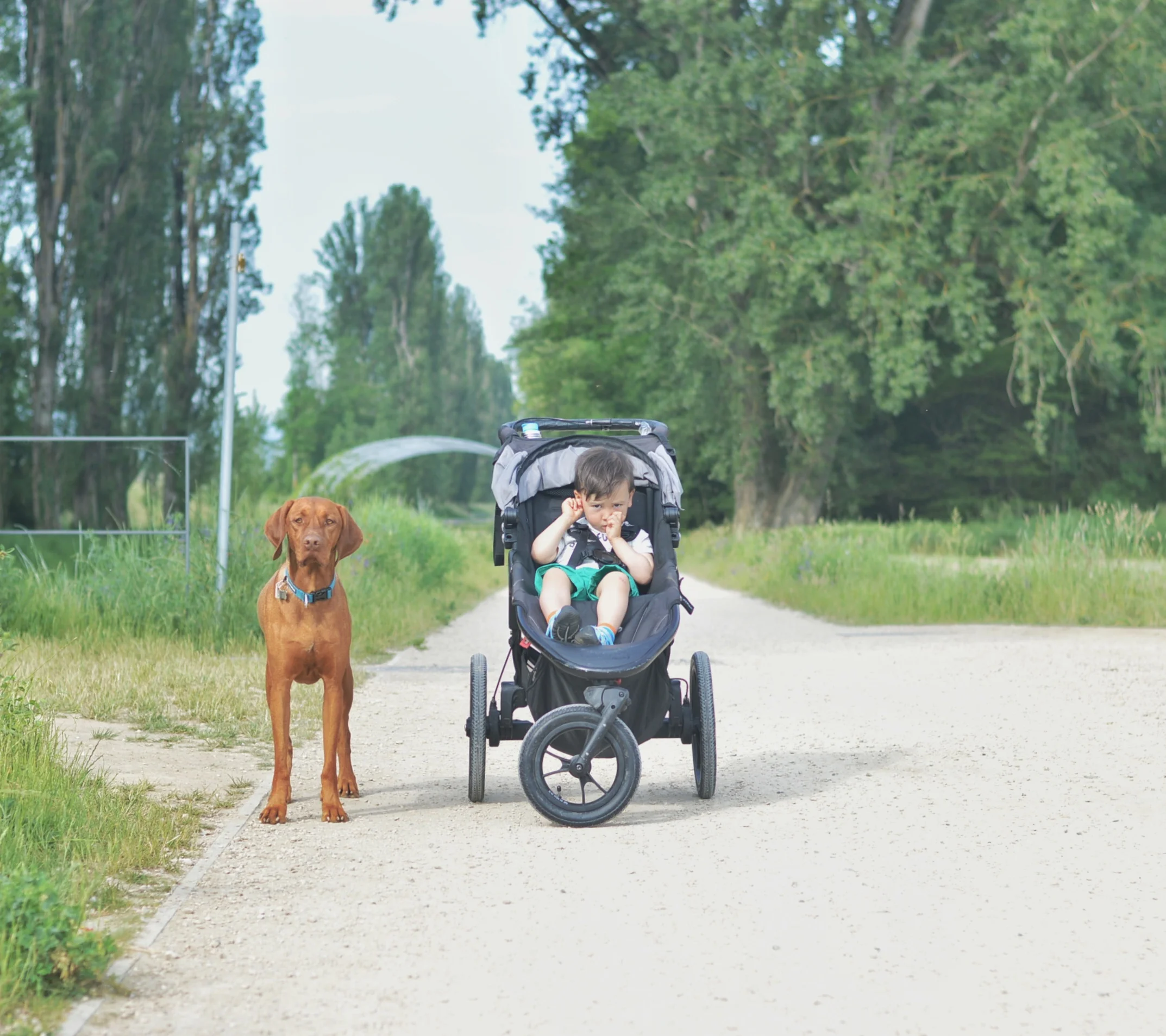 Geneva City Walks - La Gavotte Farm loop 