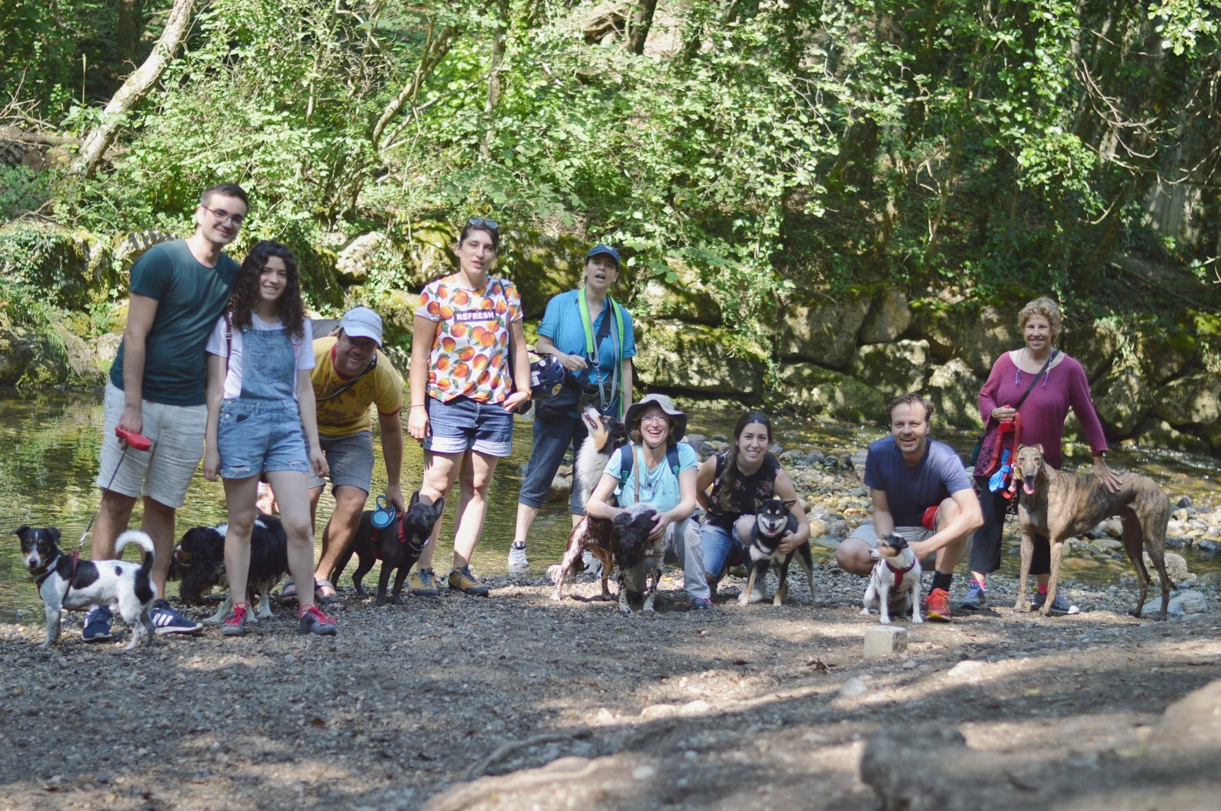 Geneva Hiking with Dogs - July Edition - Nant d'Avril, Satigny