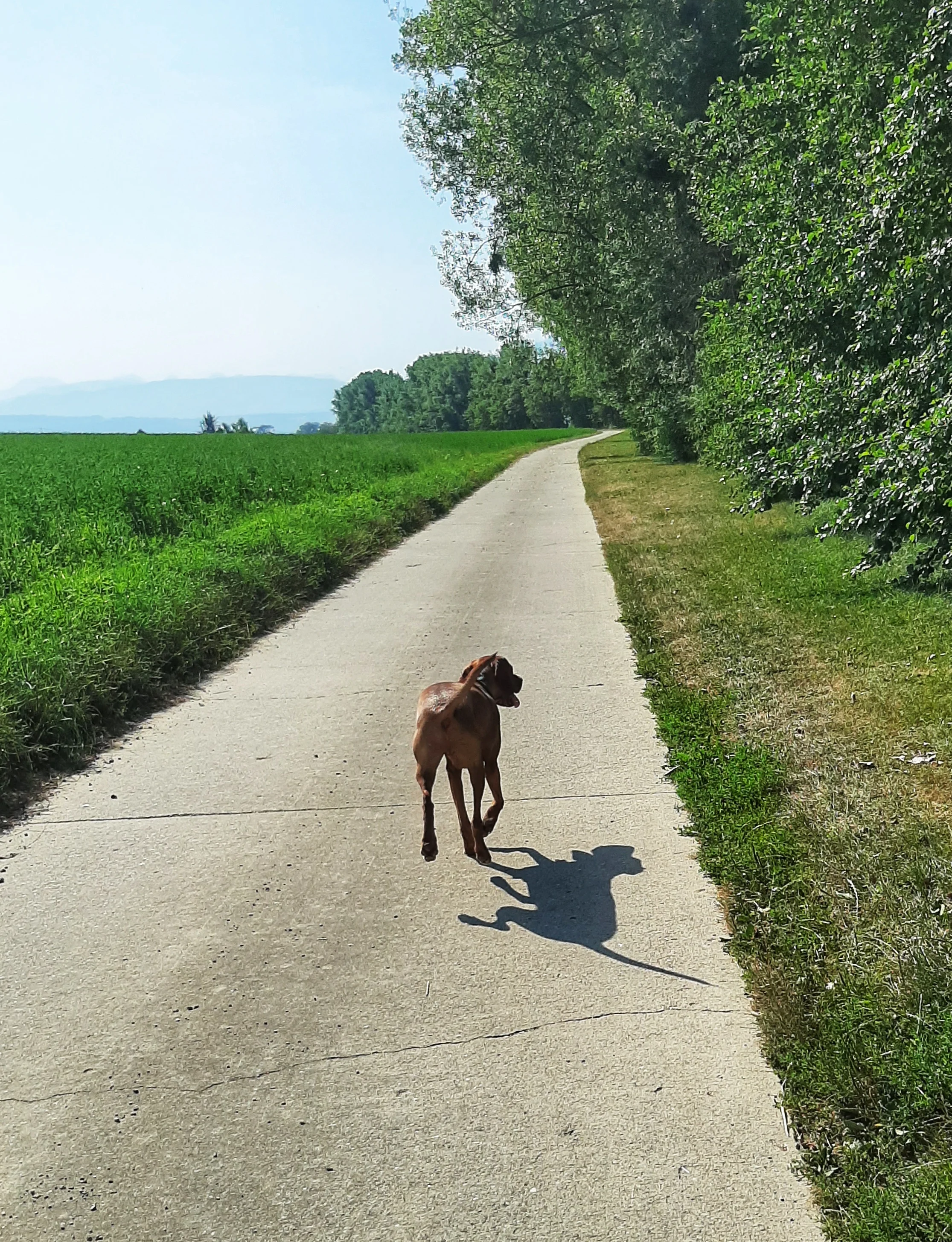 Crans-près-Céligny - Walk and Play Park combo