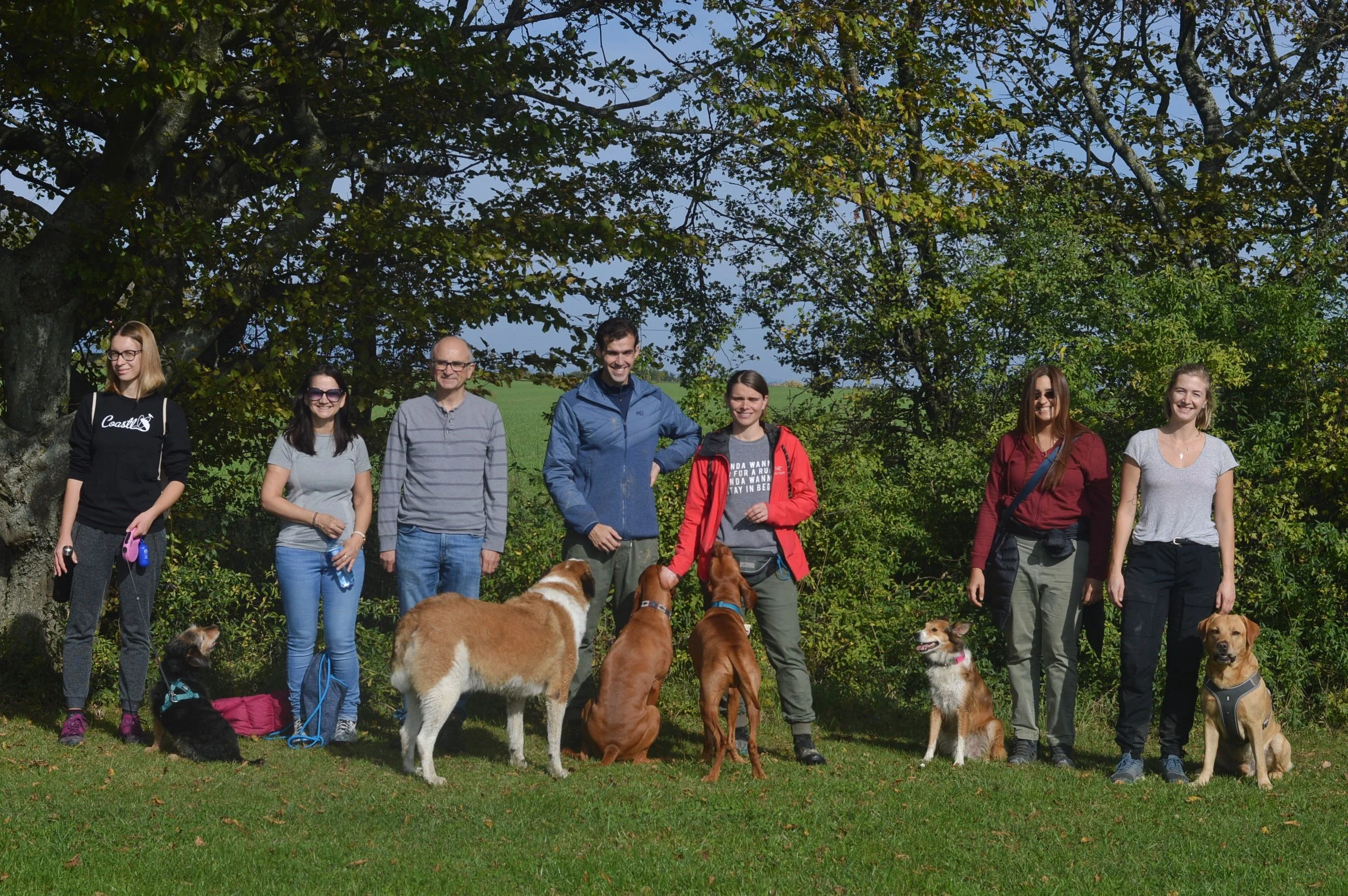Geneva Hiking with Dogs - October Edition - Bois de Jussy