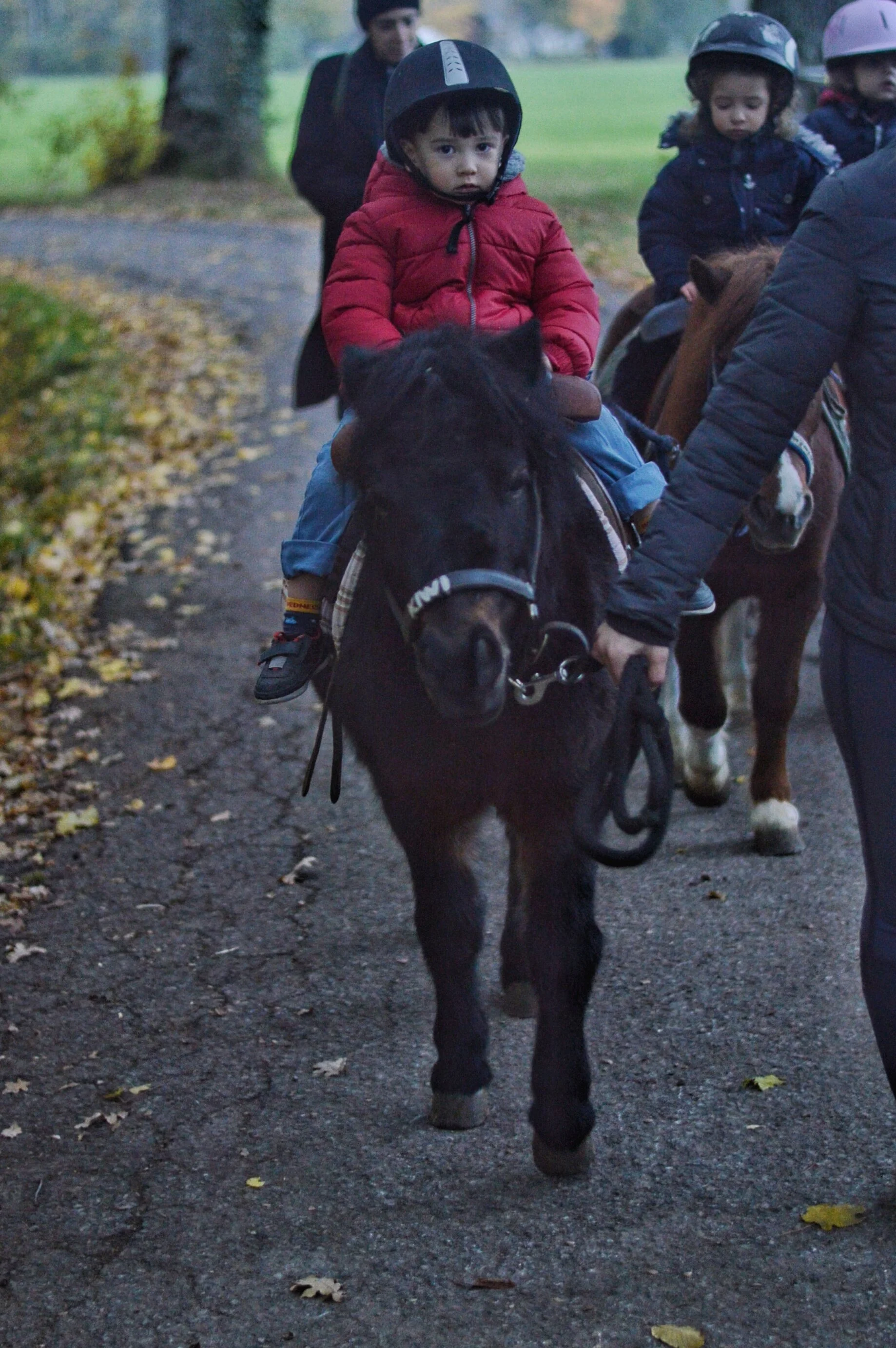 Pony Ride at Poney Club de Presinge, Geneva