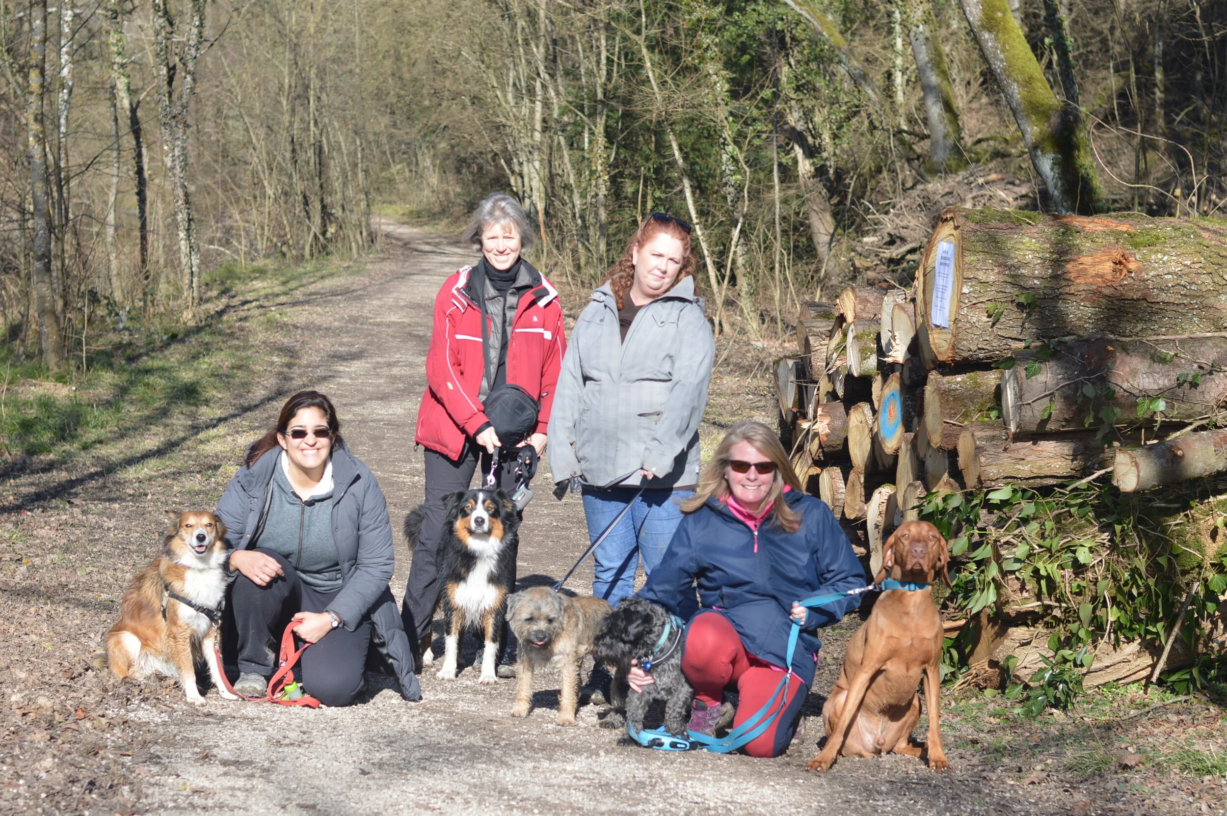 Geneva Hiking with Dogs - February Edition - Nant d'Avril