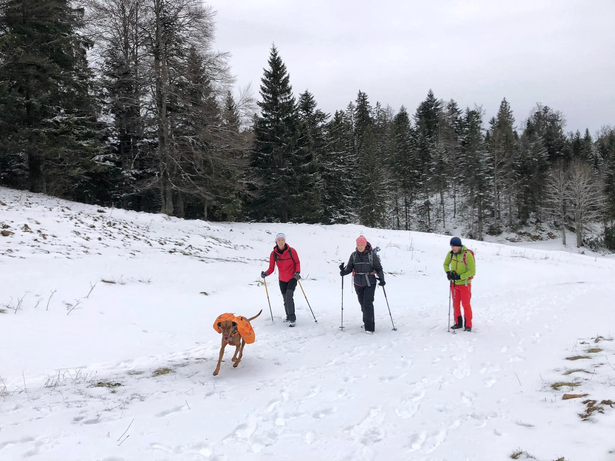 Hiking in St Cergue (VD) with Famke from Mountful Hikes