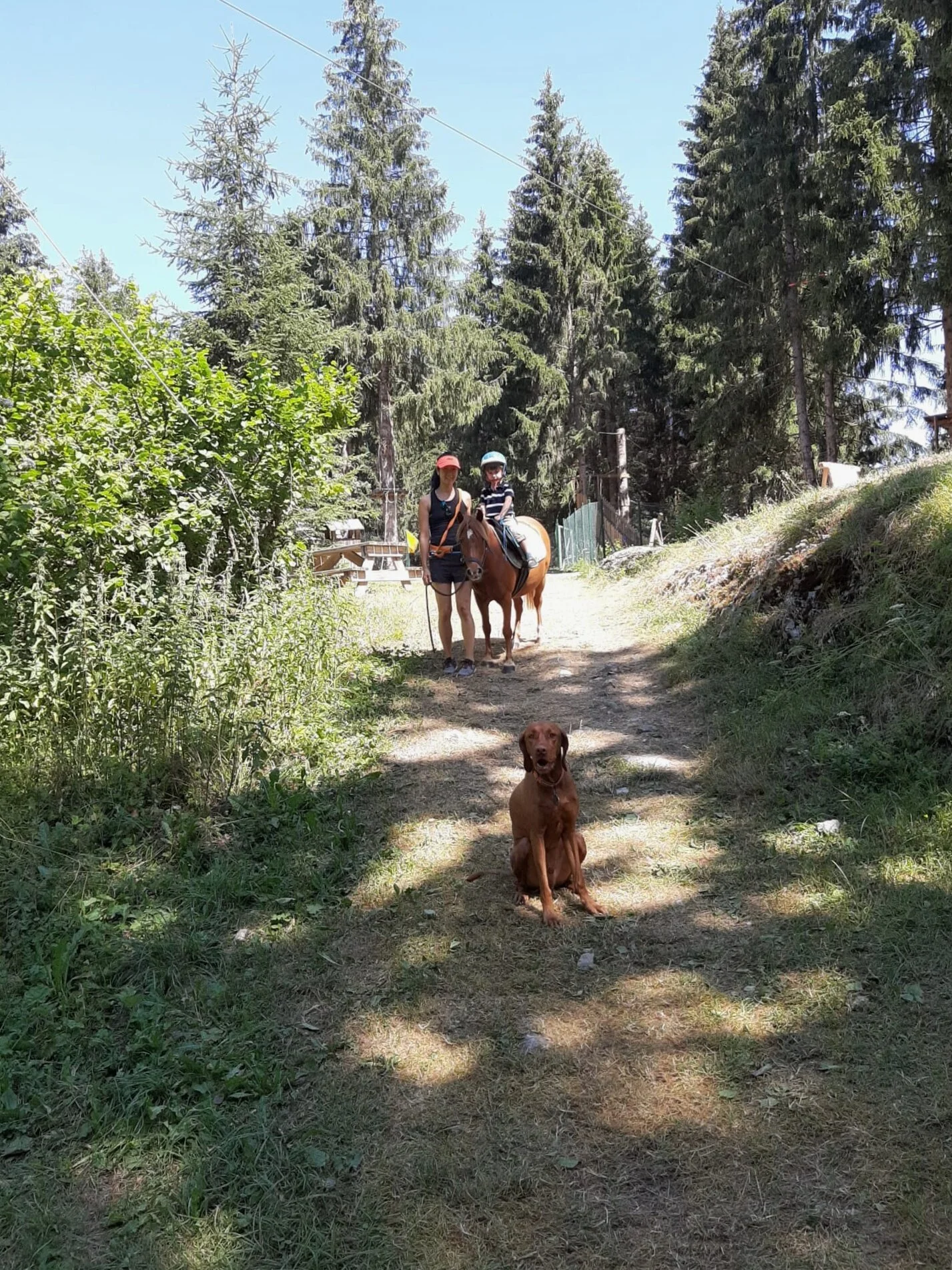 Pony Ride in Les Carroz, FR - Centre Equestre du Lays
