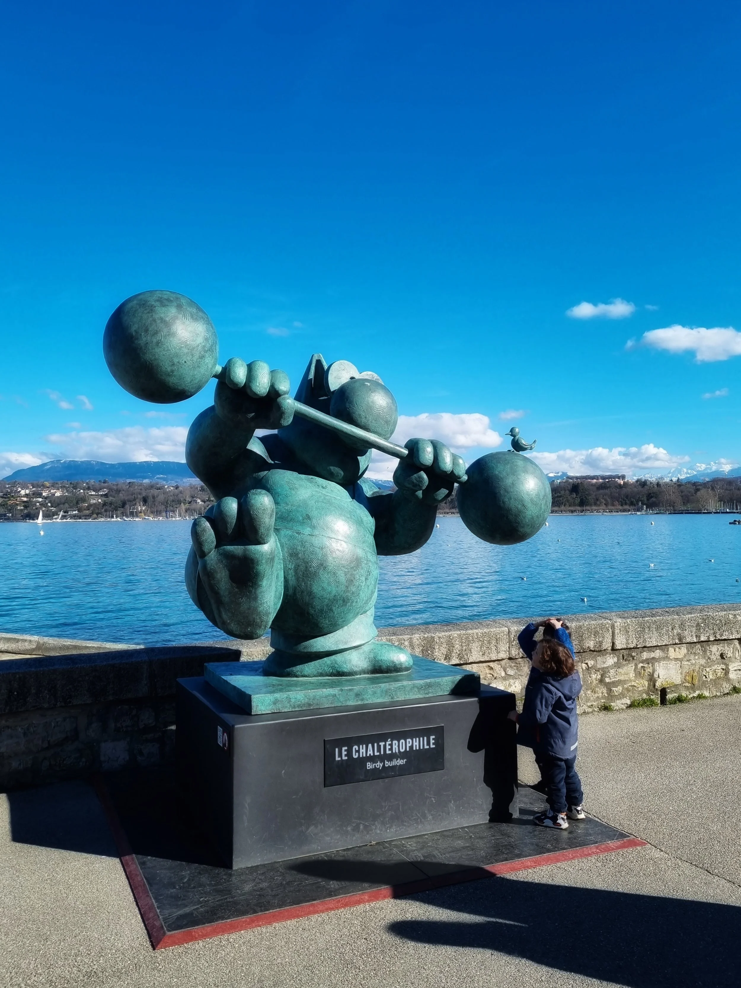 Wandering Amongst Cats in Geneva 