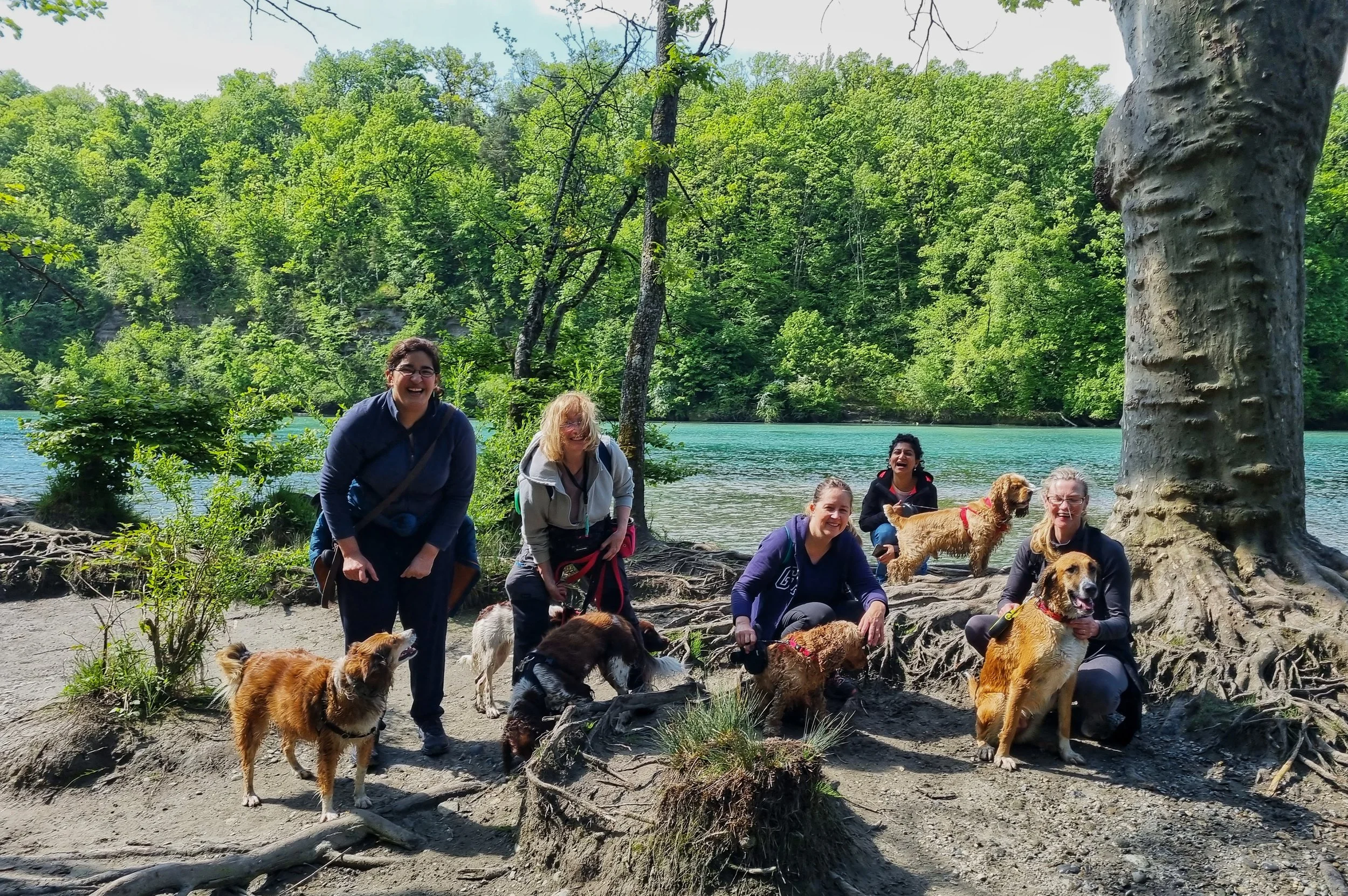 Geneva Hiking with Dogs - May 2022 - Bois de la Bâtie, GE