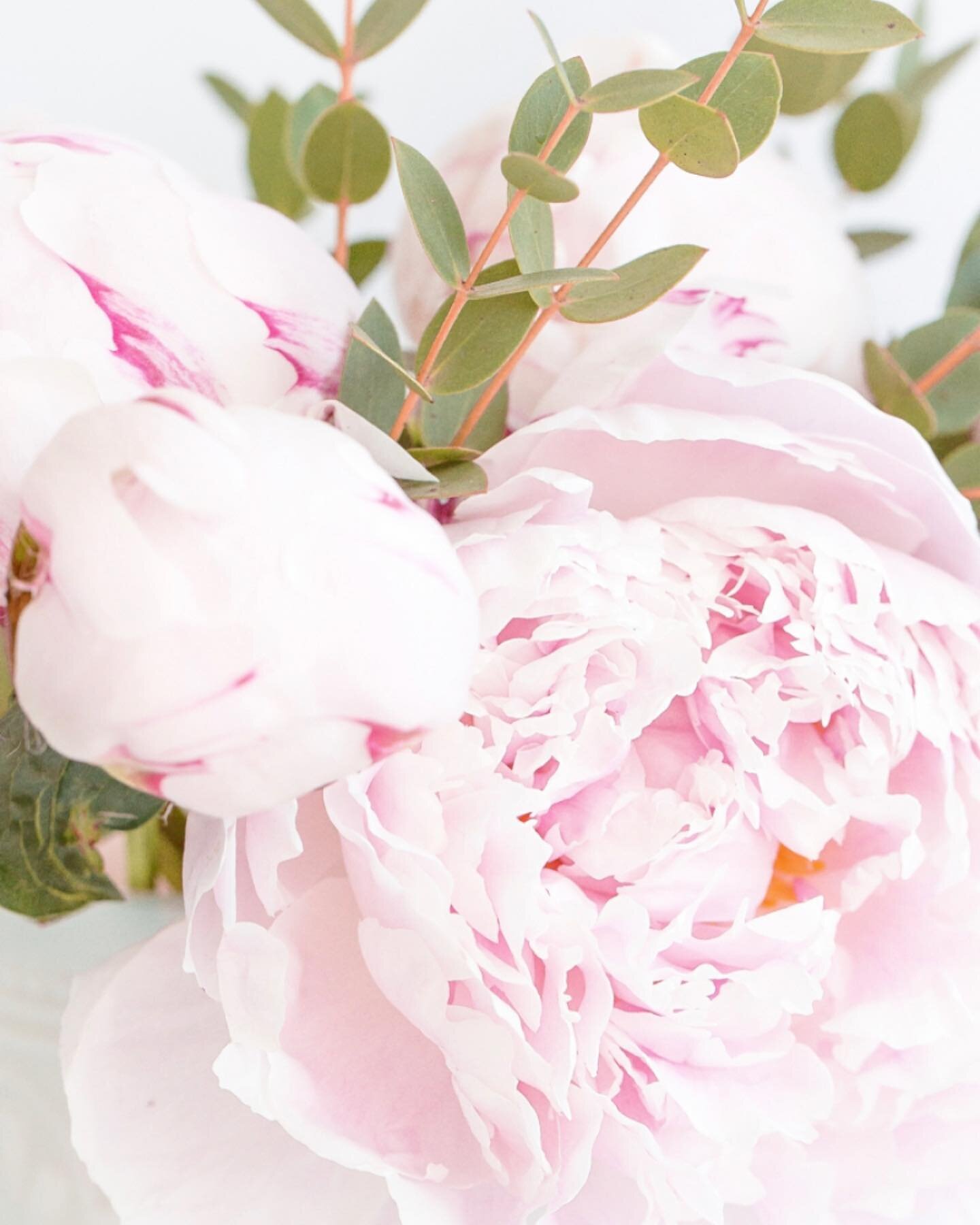 Spring favorites include pretty peonies 💐