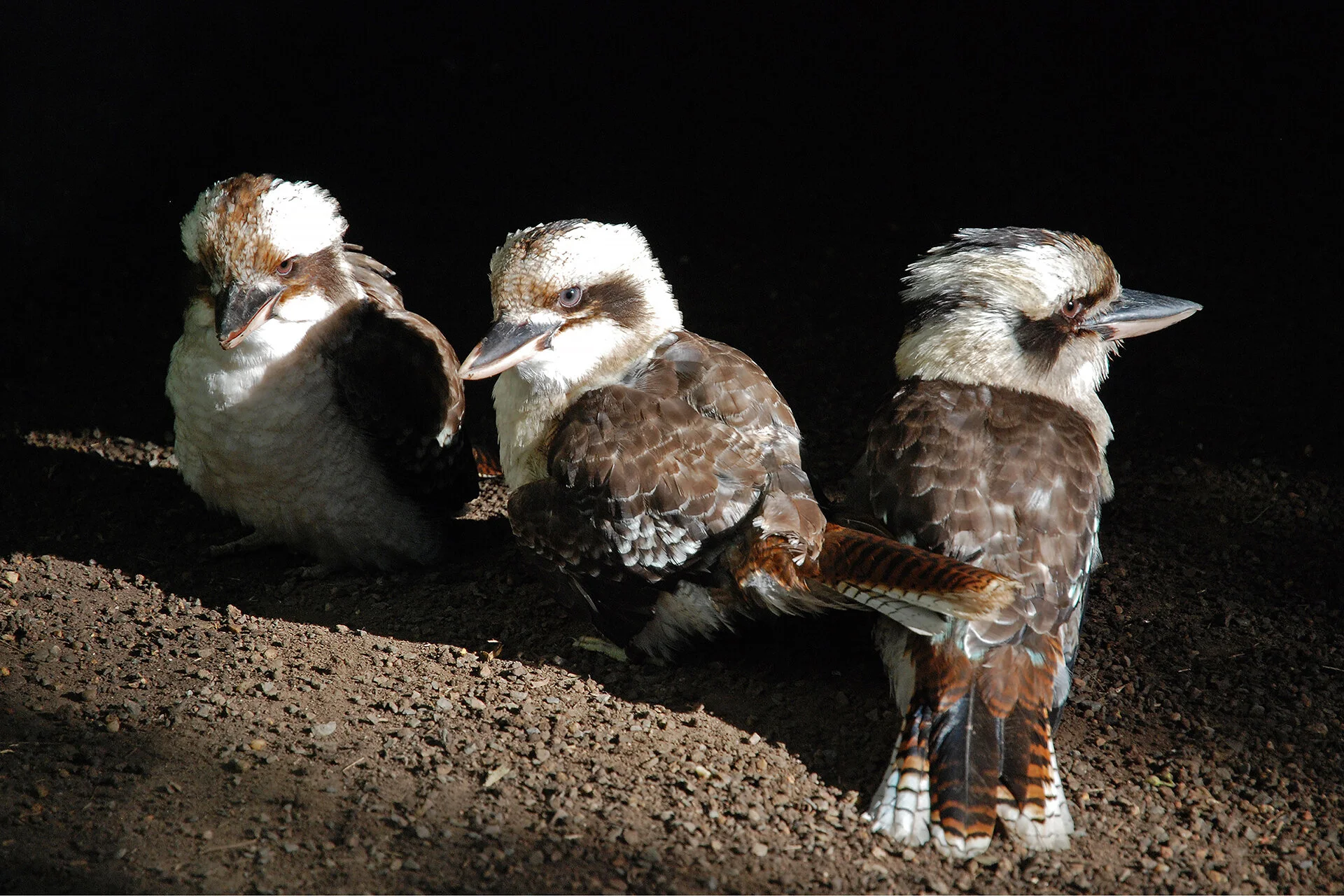 Photographie Andreas Pöhnl