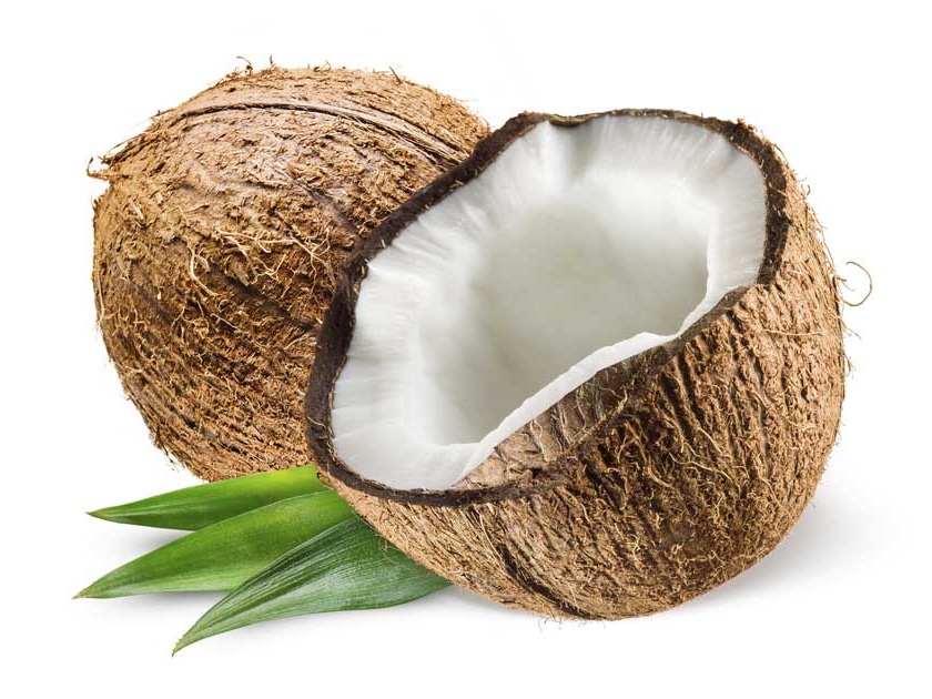 Coconut