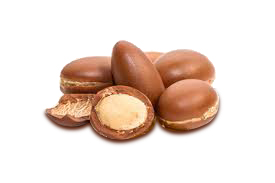 Argan Nut