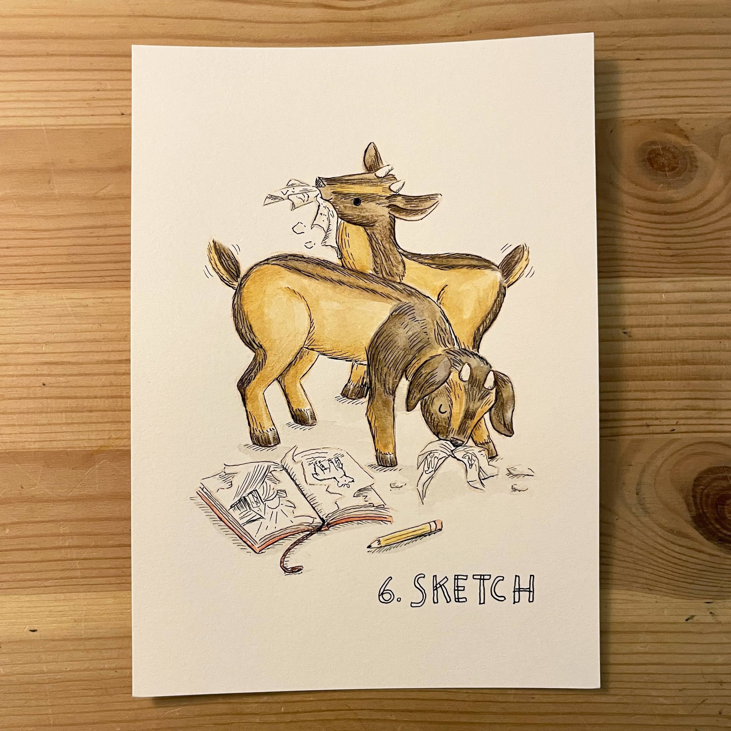 6. Sketch.jpg
