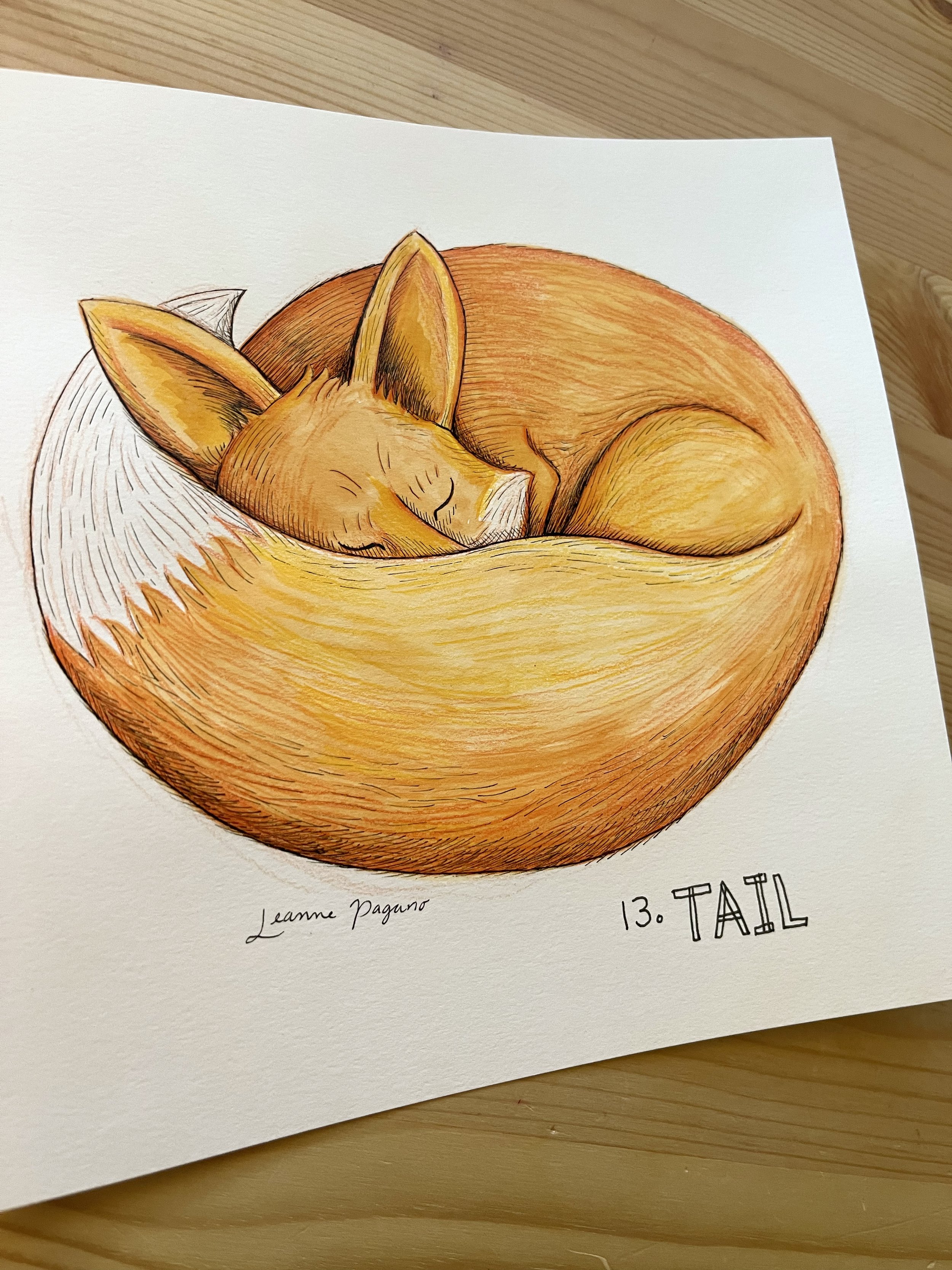 13.Tail_Original.jpg