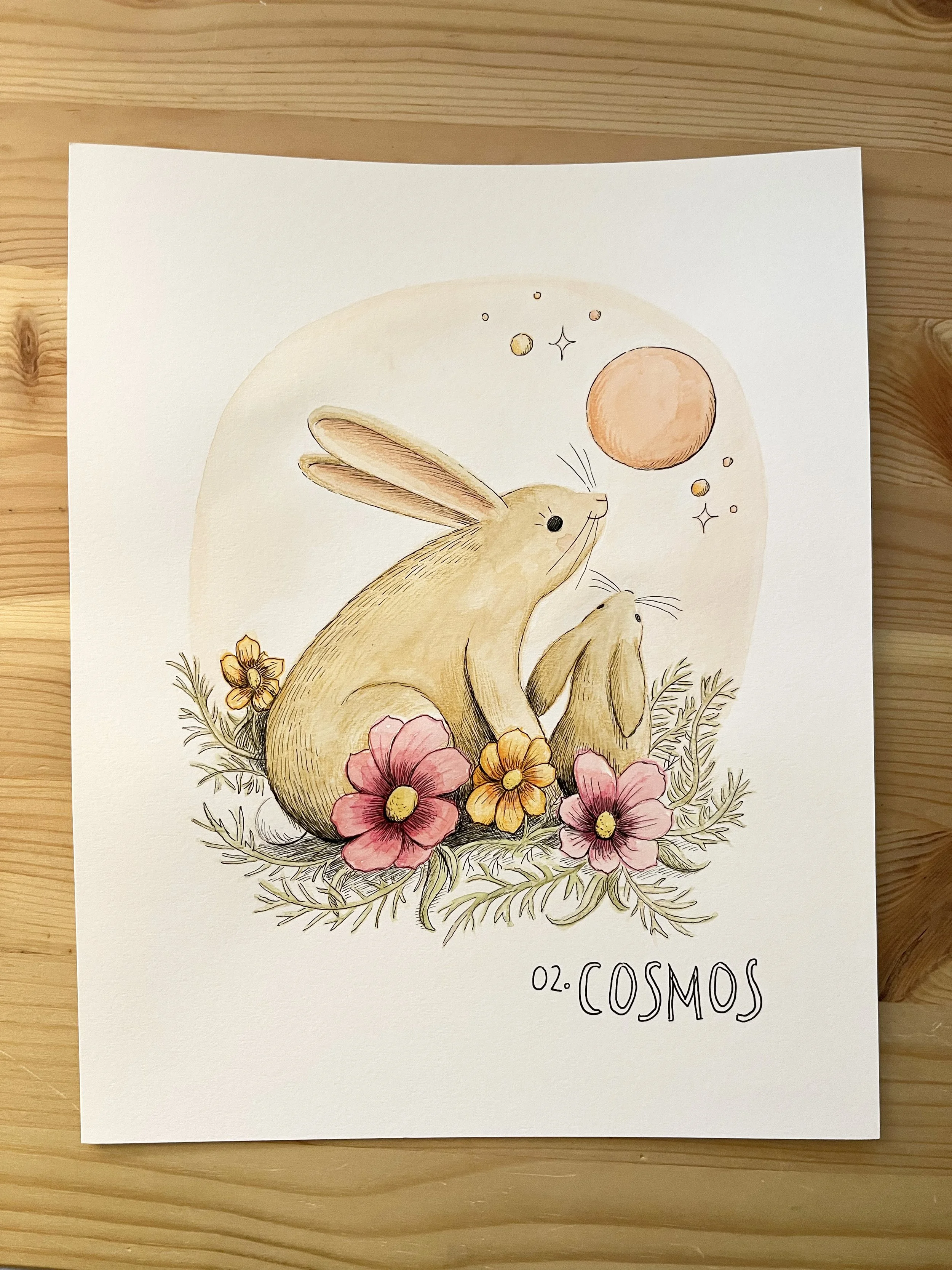 Cosmos 1.jpg