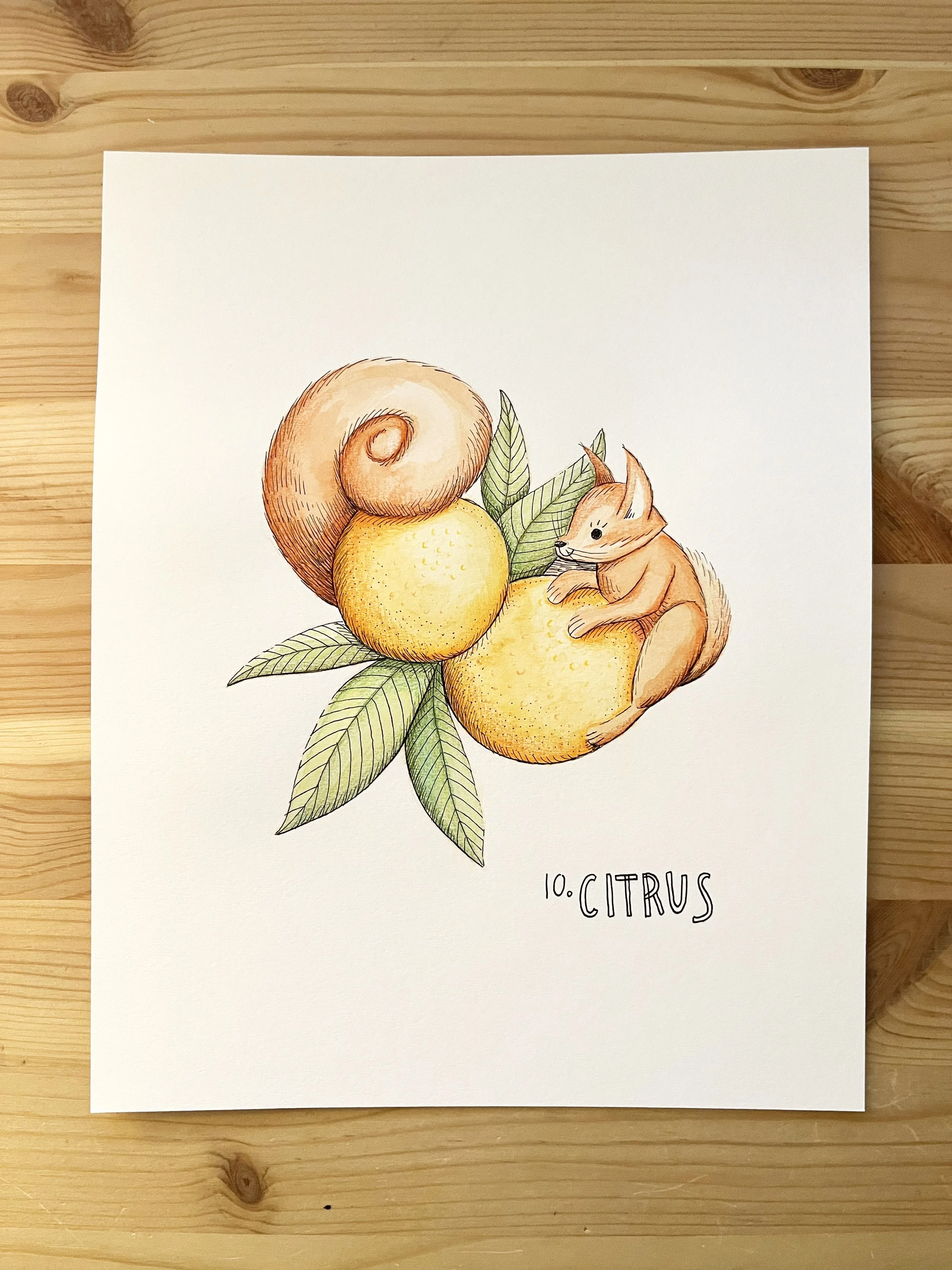 Citrus 1.jpg