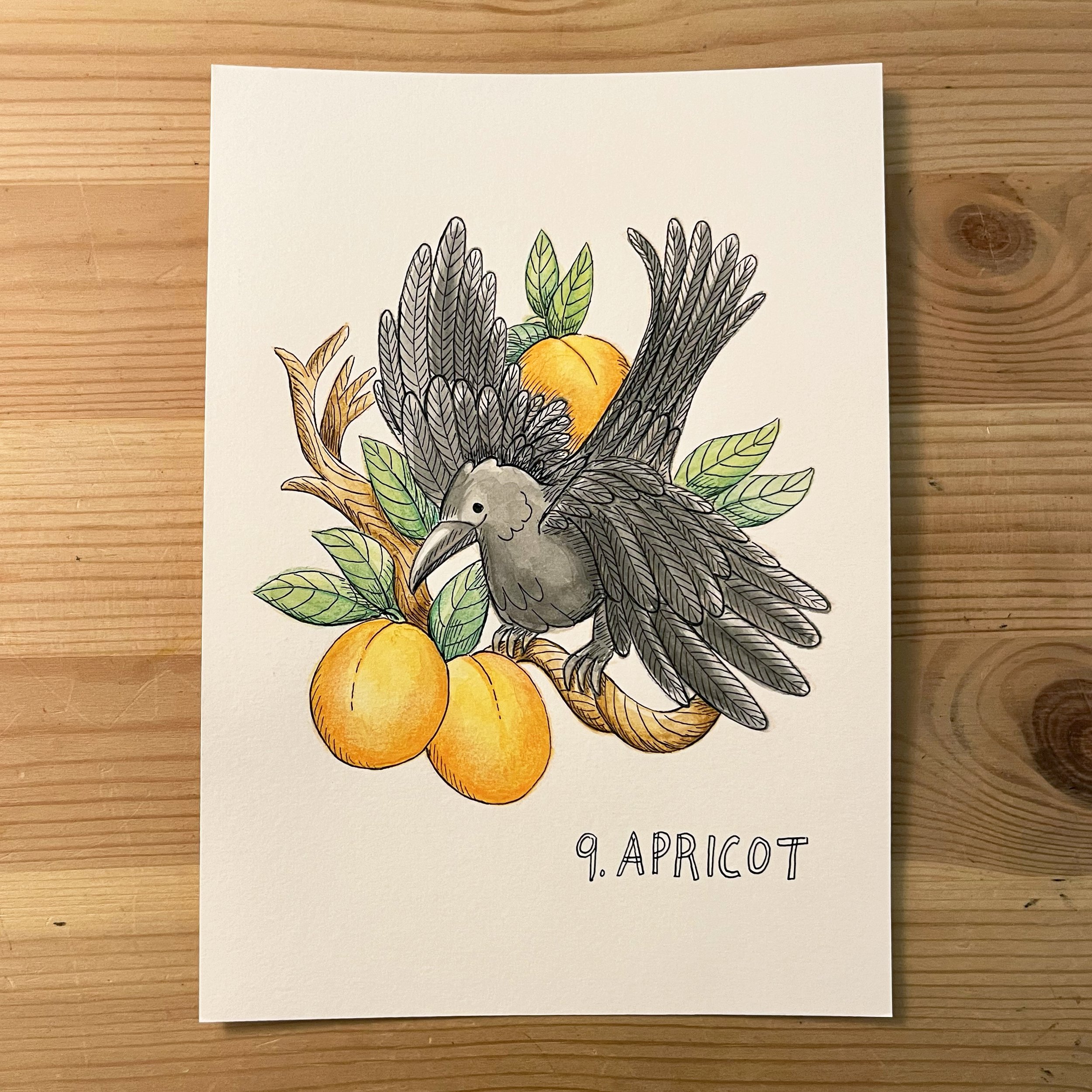 9. Apricot.jpg