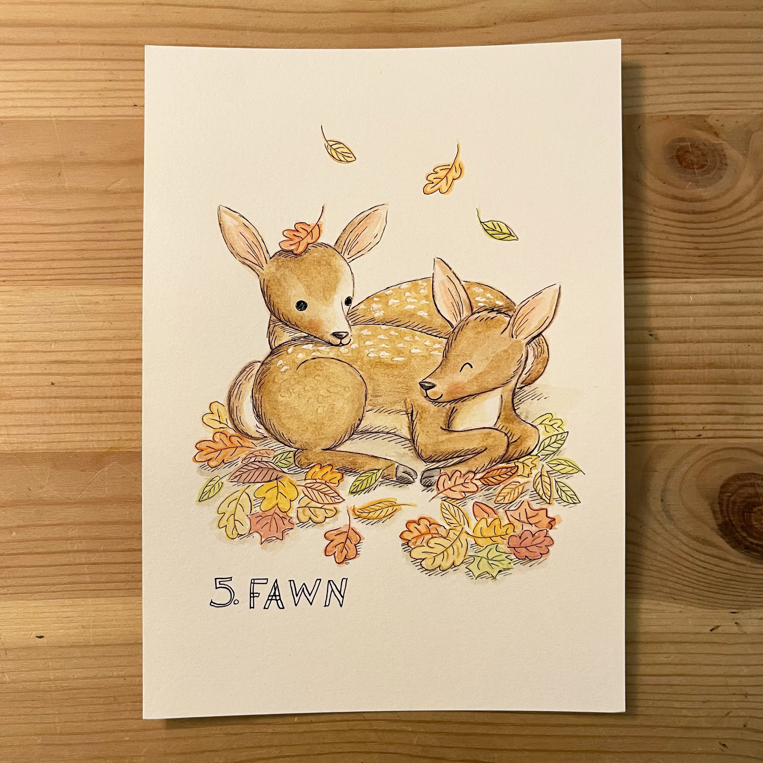 5. Fawn.jpg