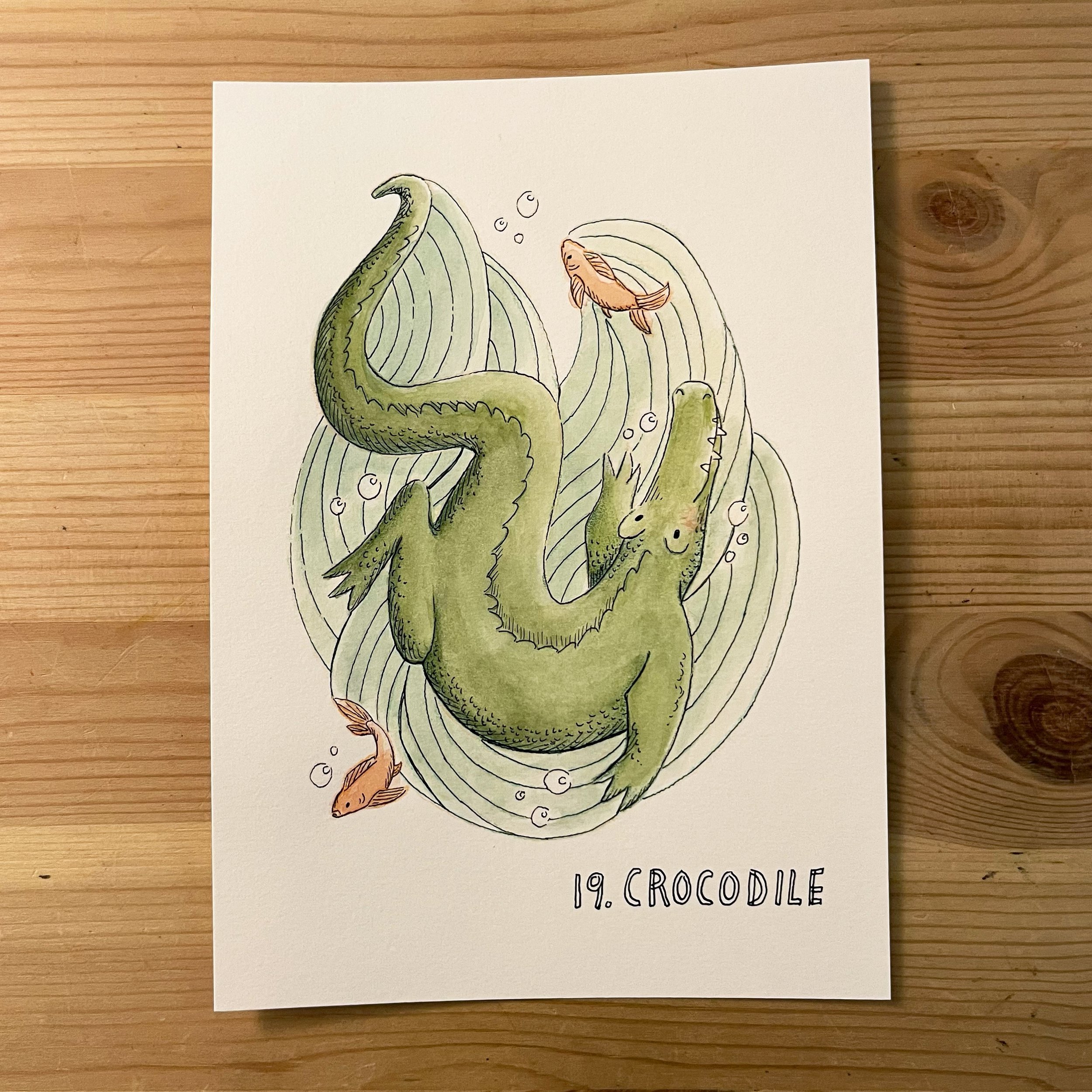 19. Crocodile.jpg