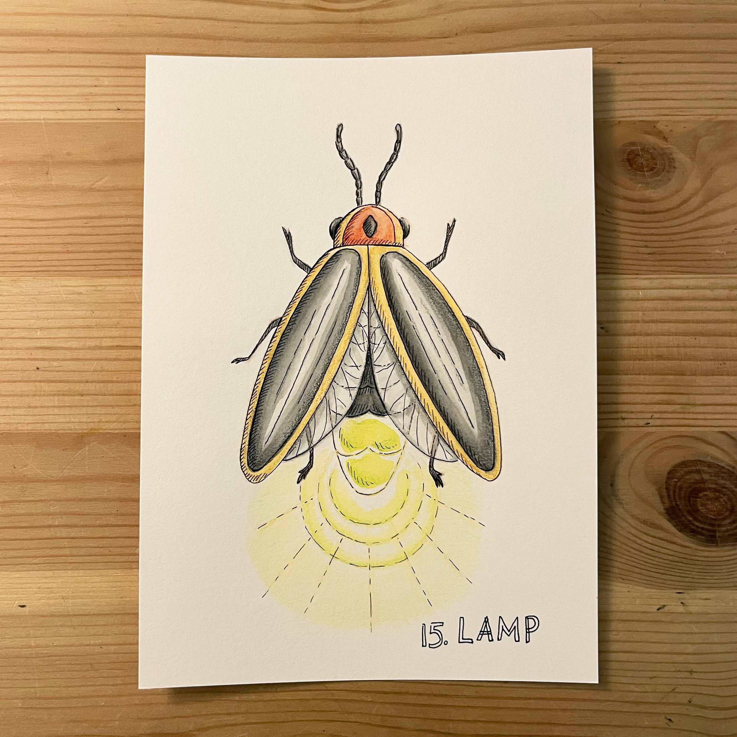 15. Lamp.jpg