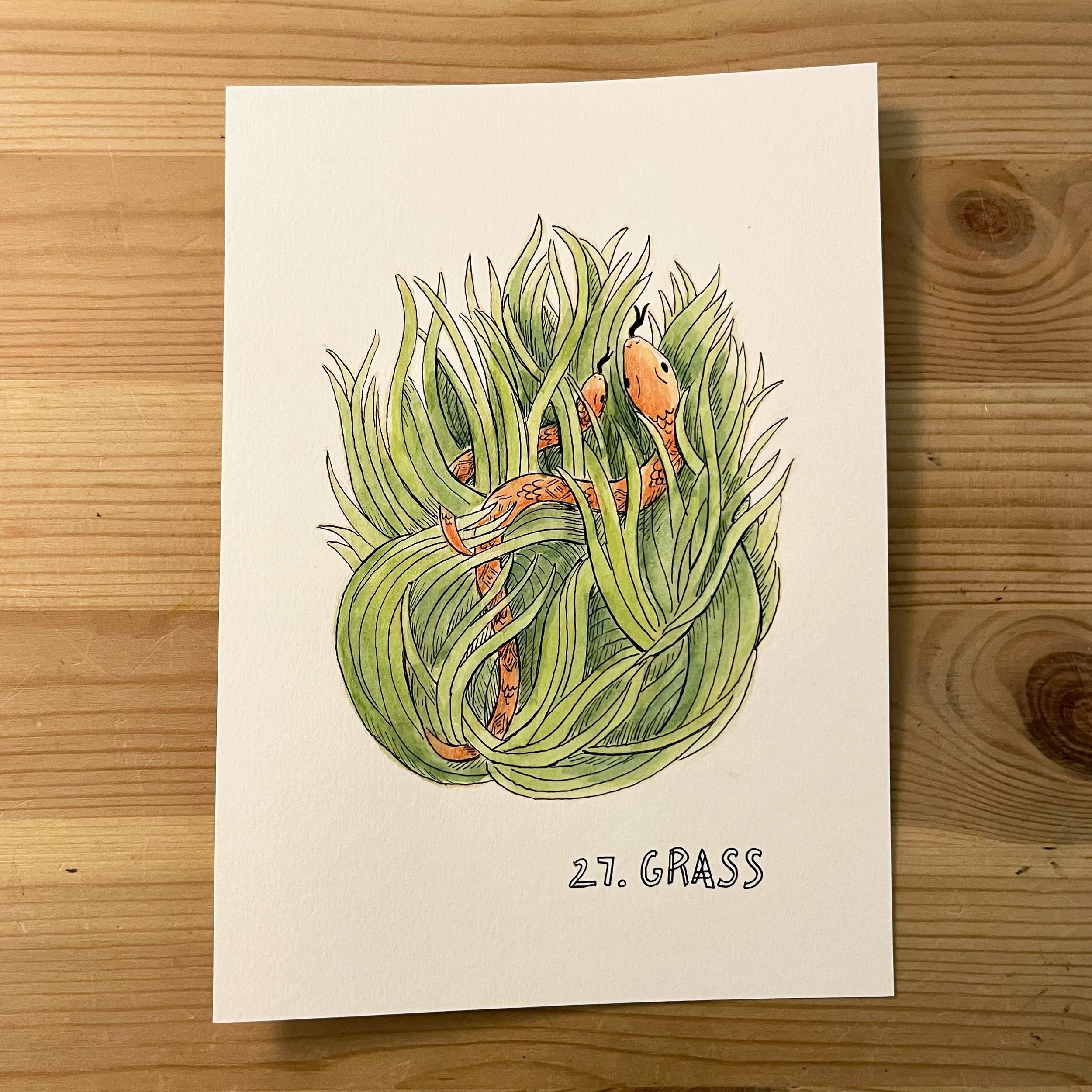 27. Grass.jpg