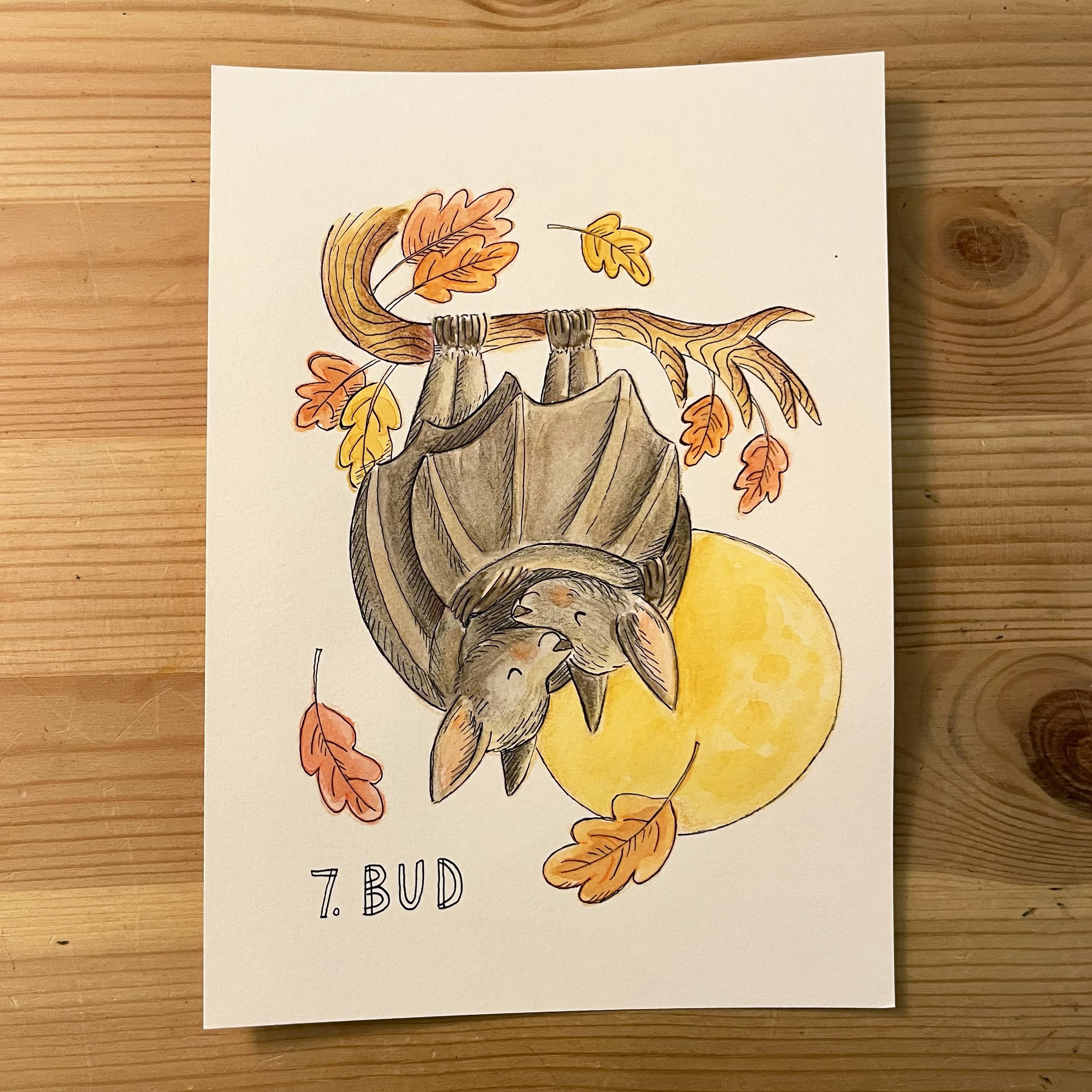 7. Bud.jpg