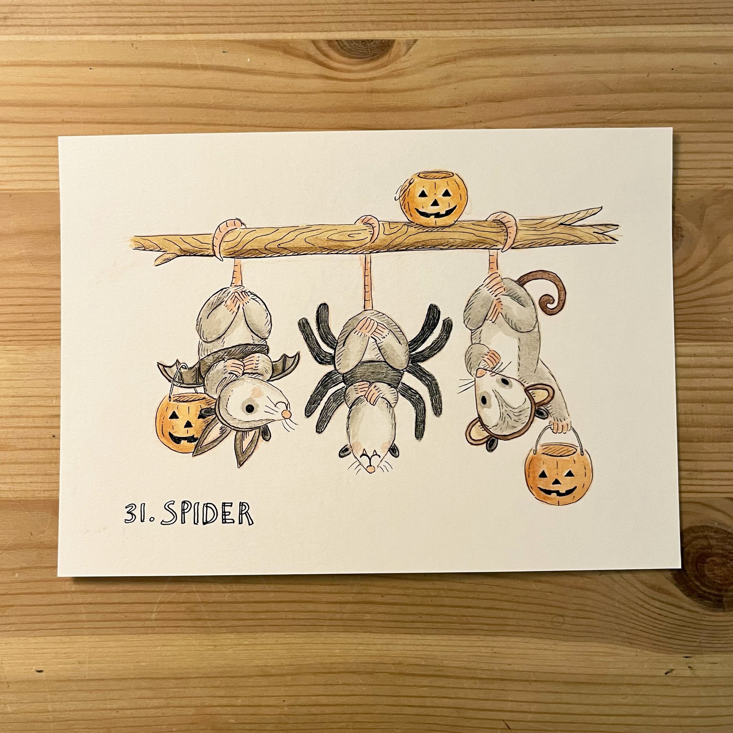 31. Spider.jpg
